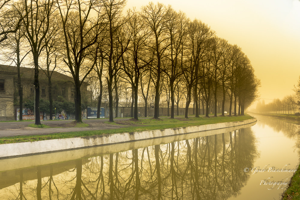 Alle prime luci dell'alba