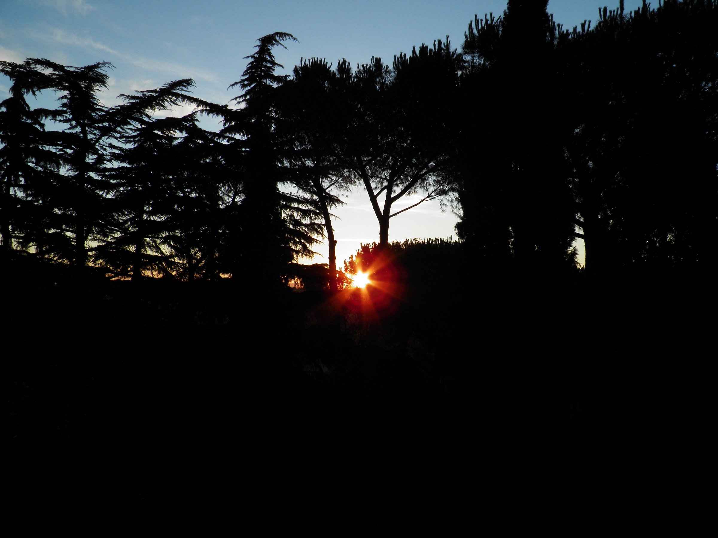 Yet dawn when everything is asleep ...