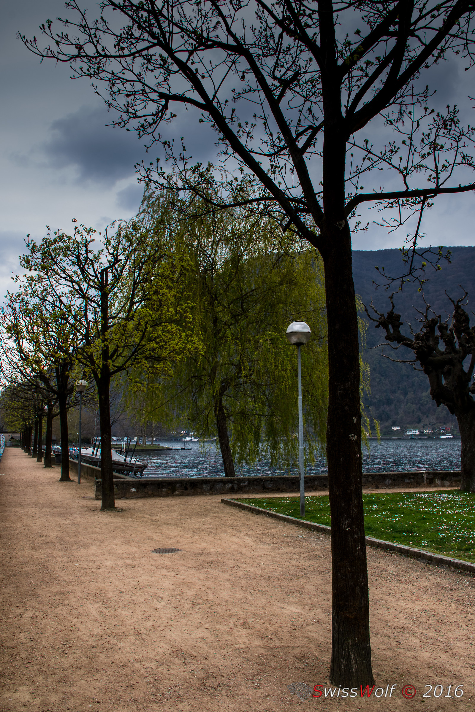 Walking near the lake