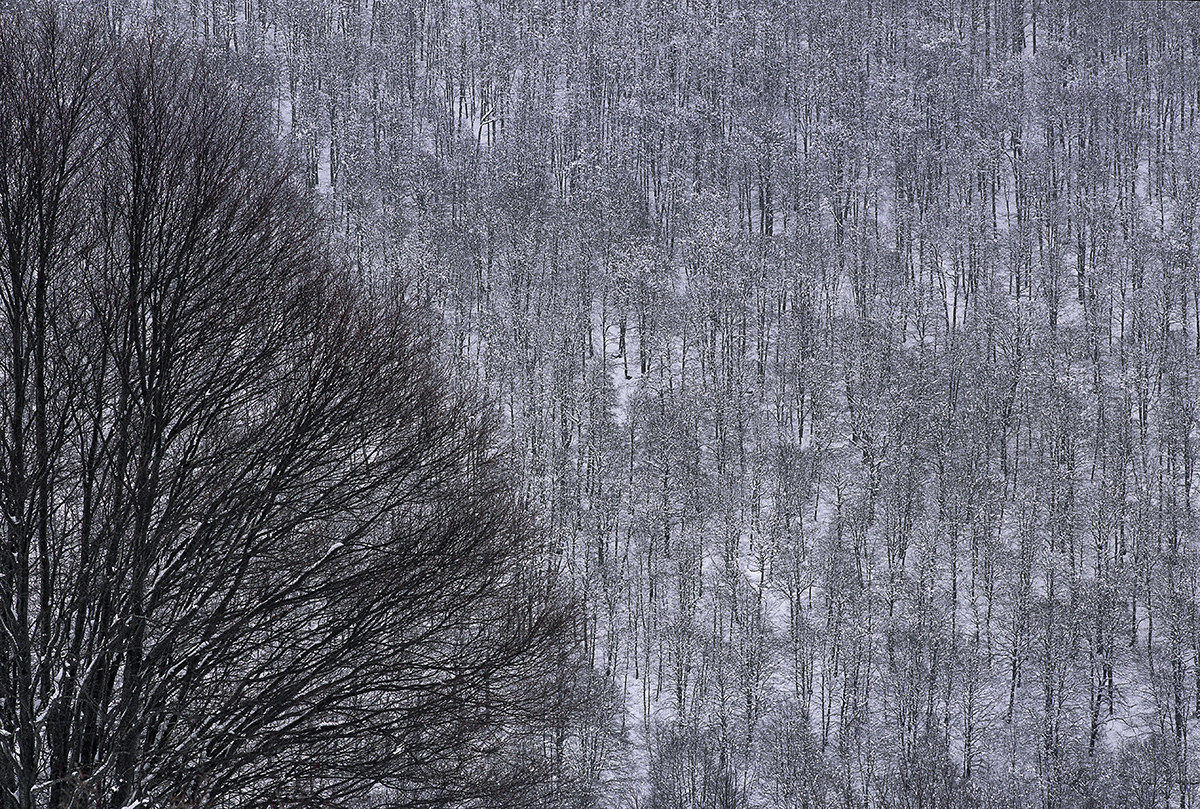 .: Winter Patterns :.