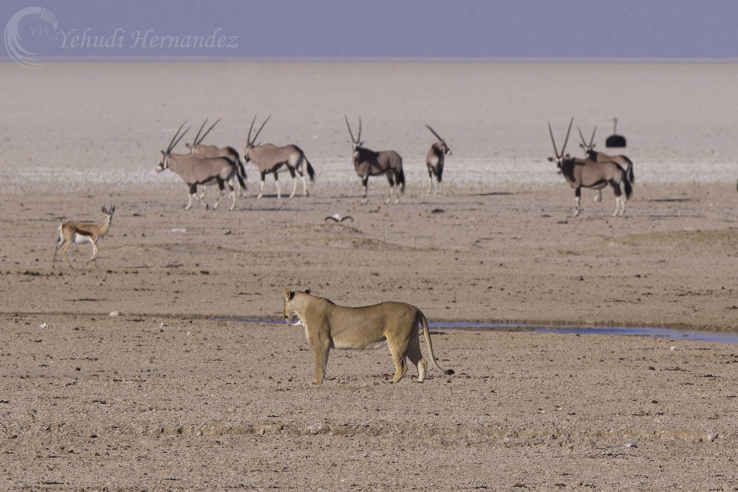 Giorno per giorno in Africa