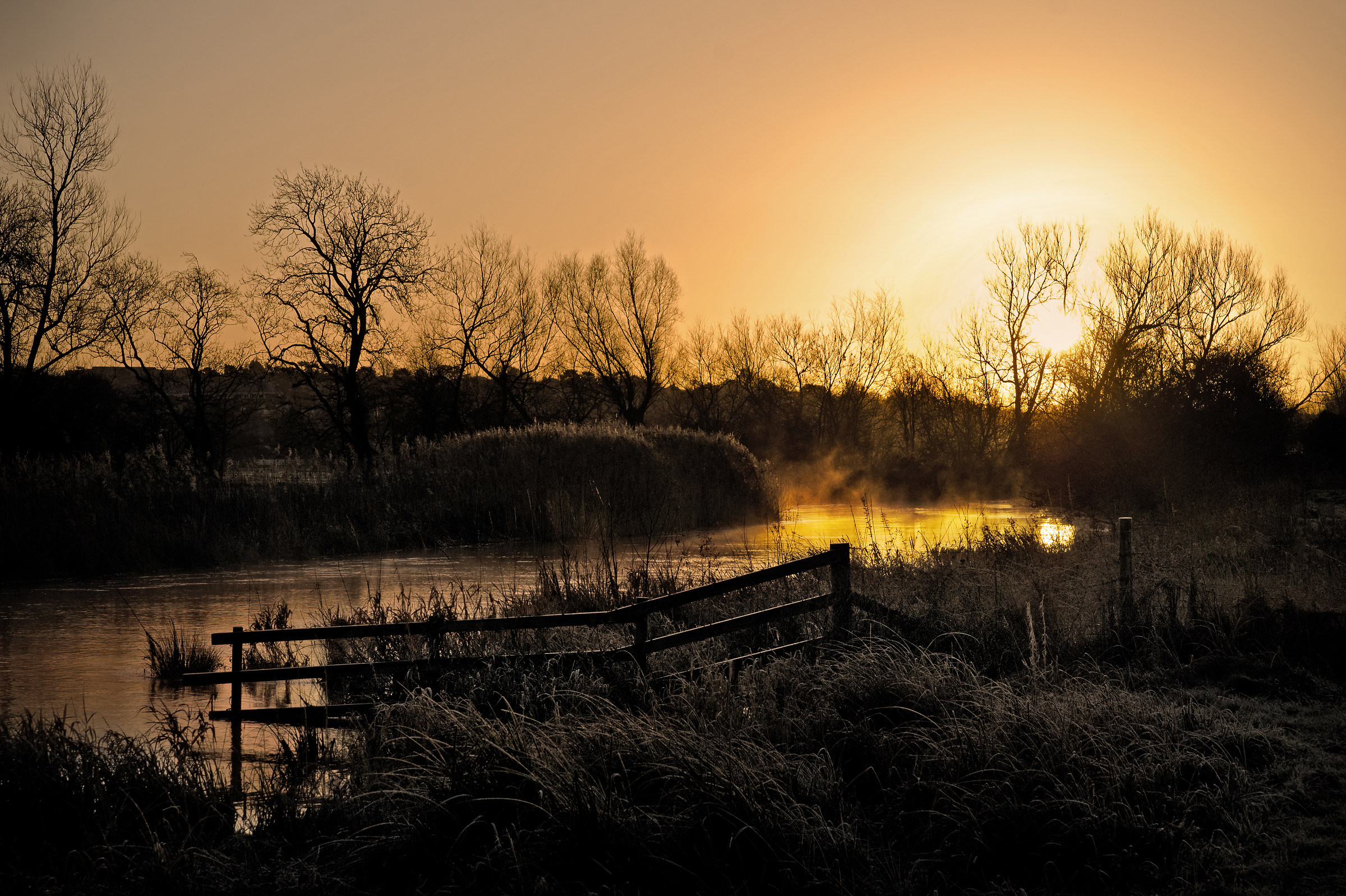 Frosty February Sunrise!