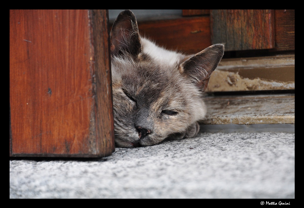 Sonnellino pomeridiano
