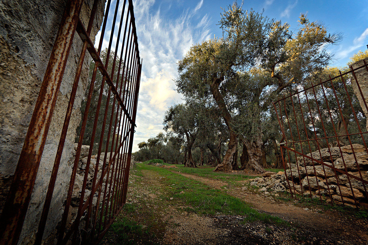 sentieri di secoli passati