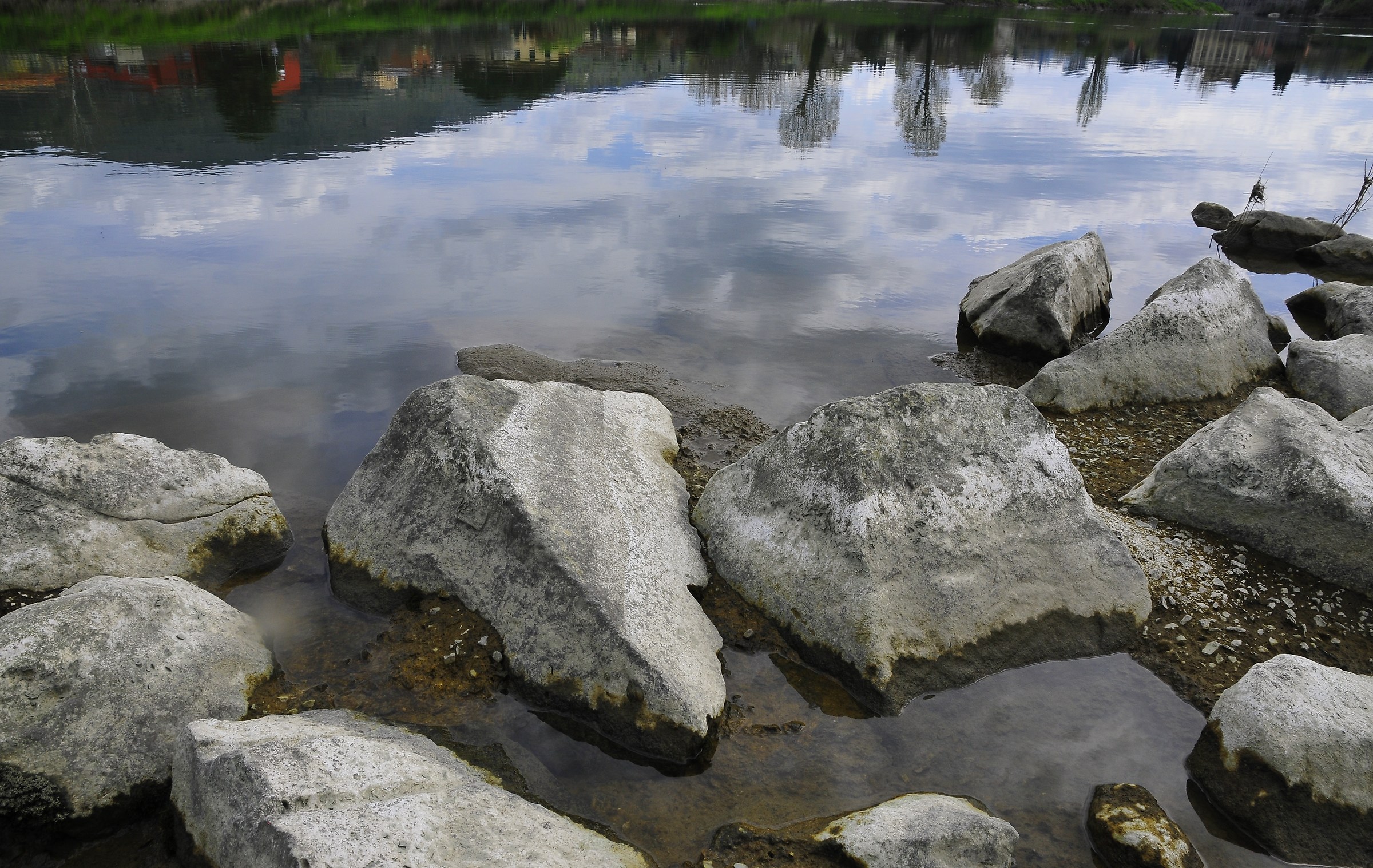 Landscape on the contrary