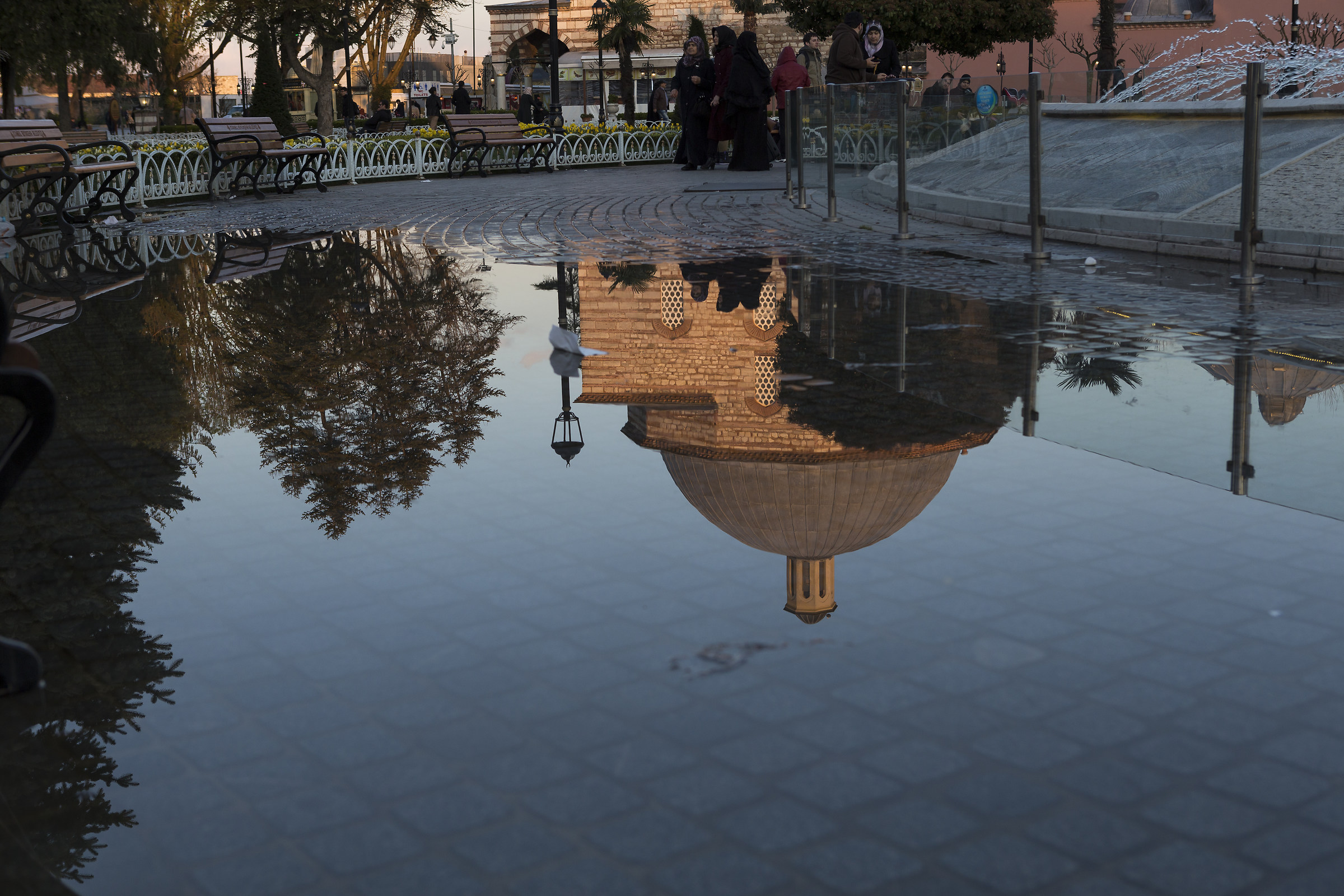 Look at the ground to see the sky ..