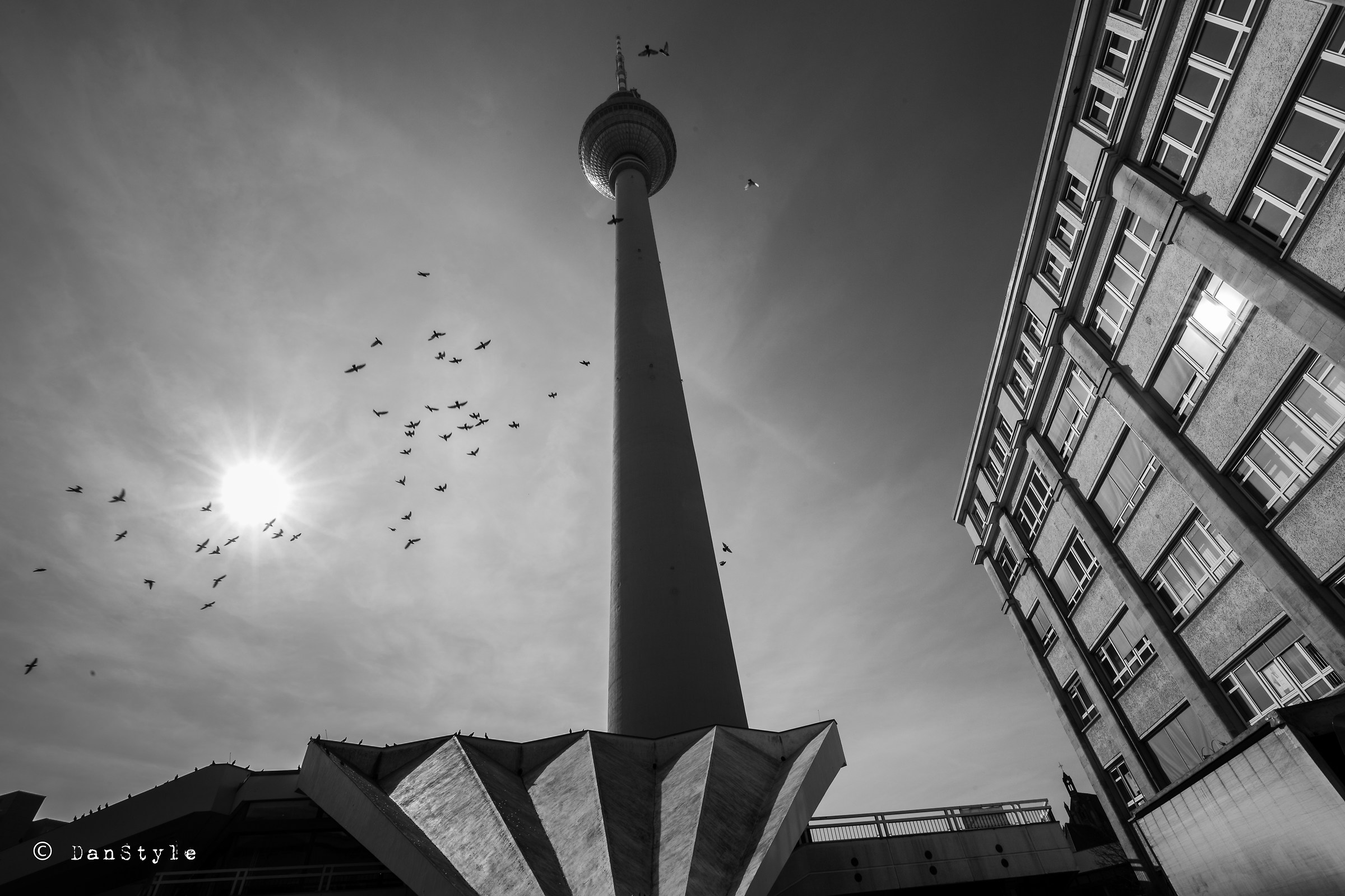 The birds and the tower