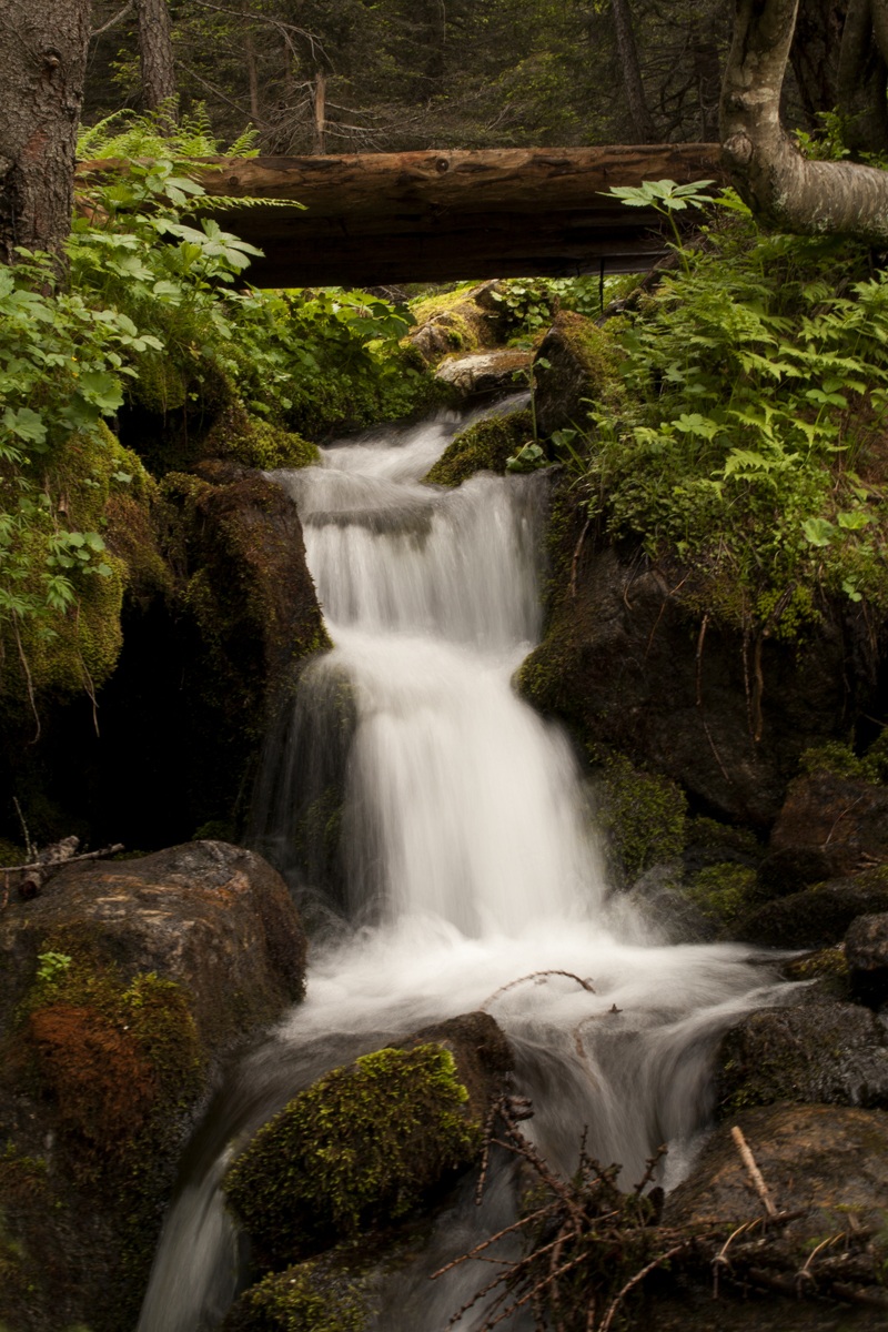 Stream - Val Bognanco