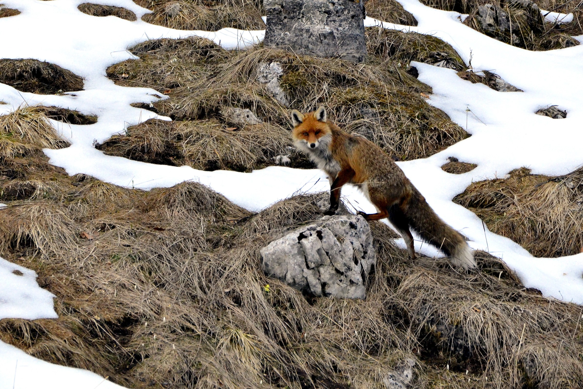 you see me and accept me