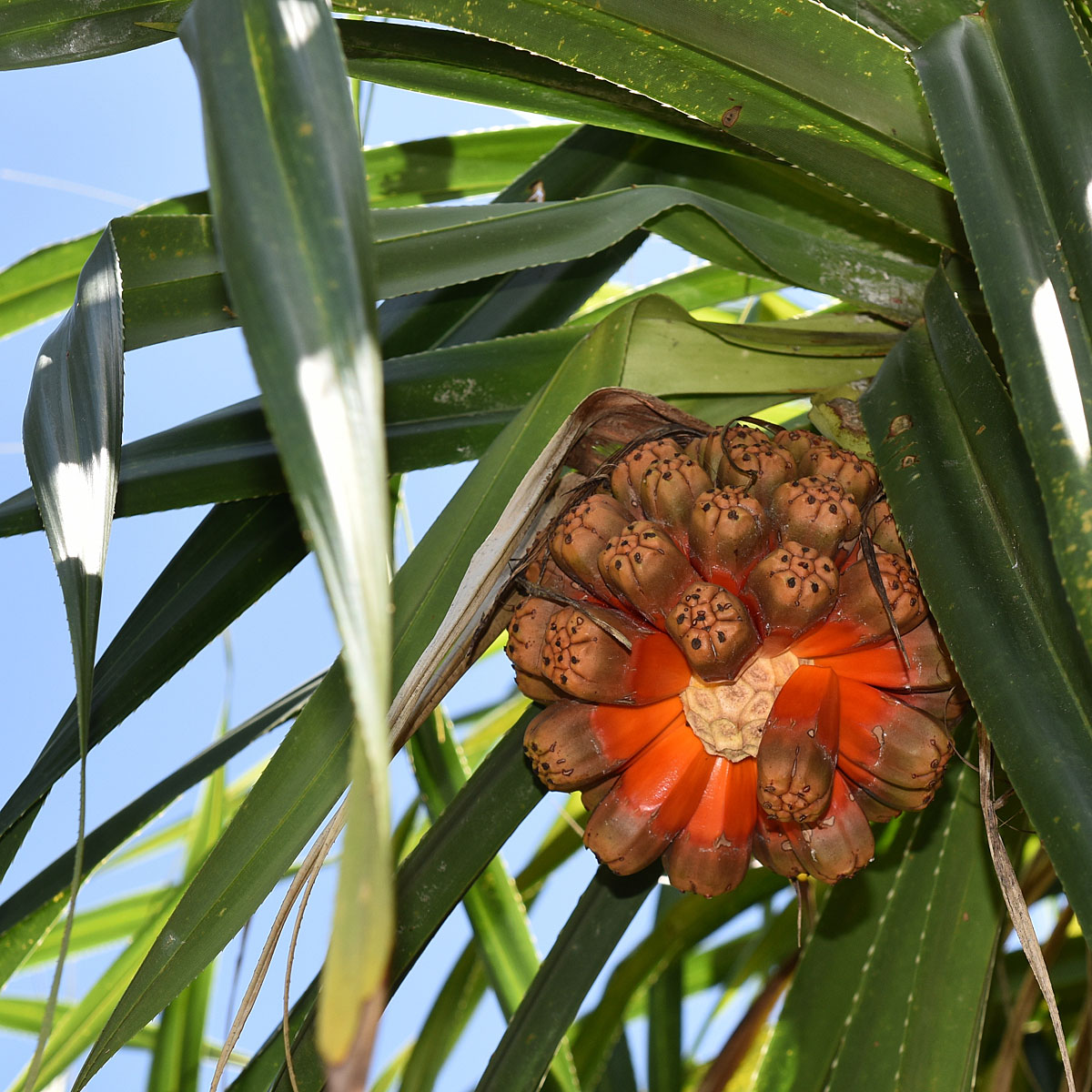 Papeete, French Polynesia