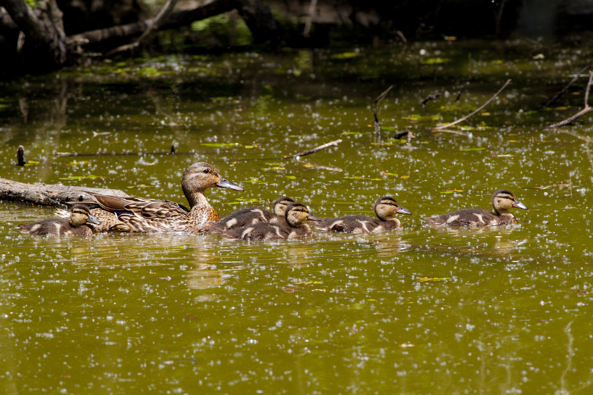 It 's beautiful day you go for a walk