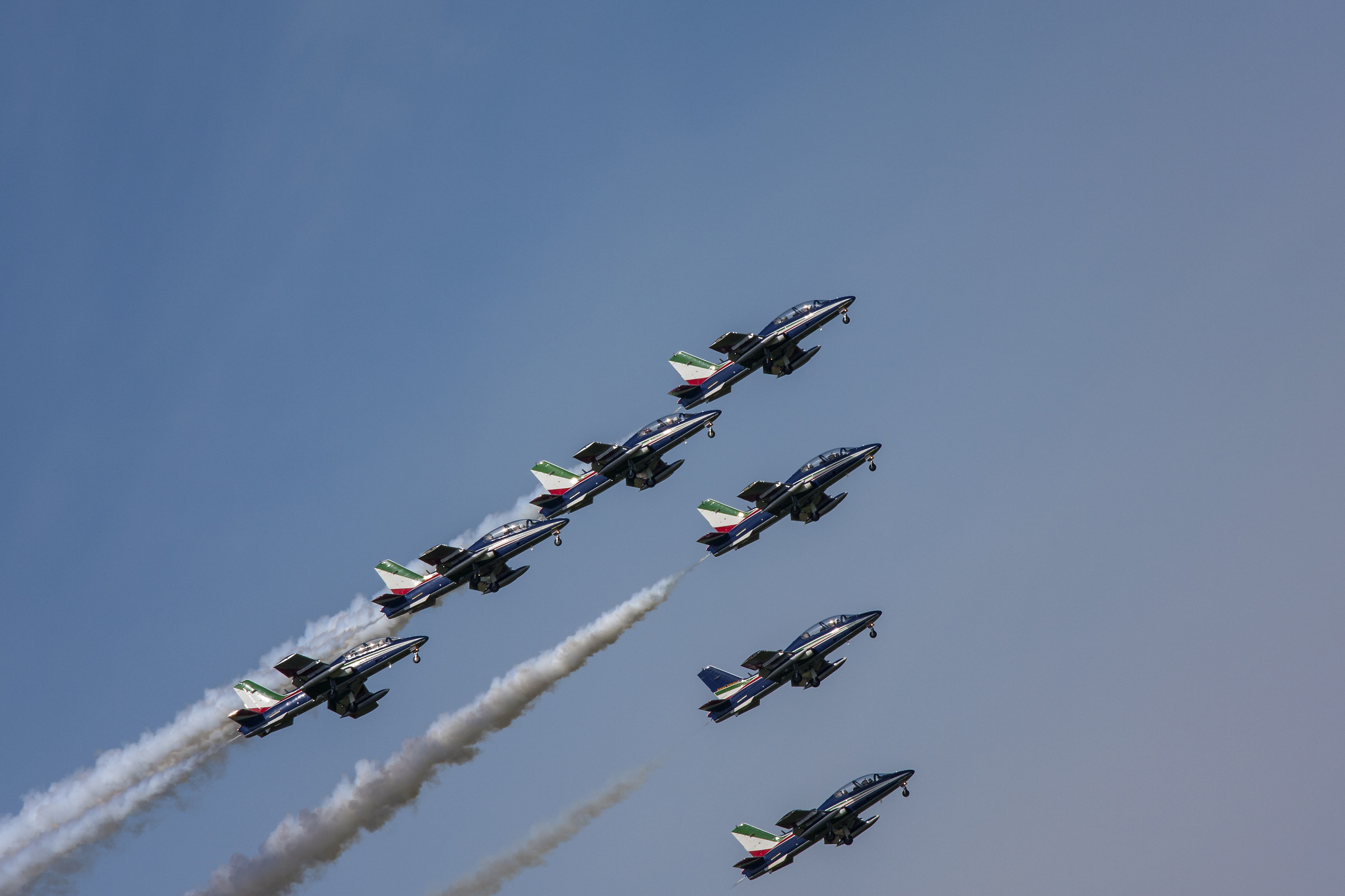 Arrows in training !!