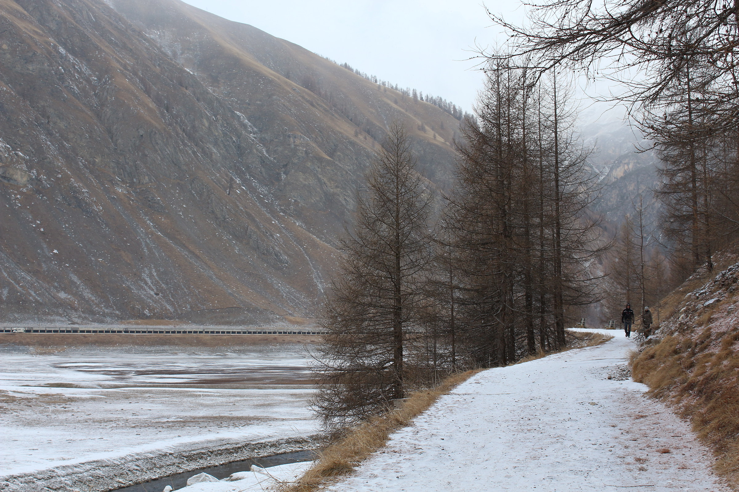 Passeggiata sotto la neve
