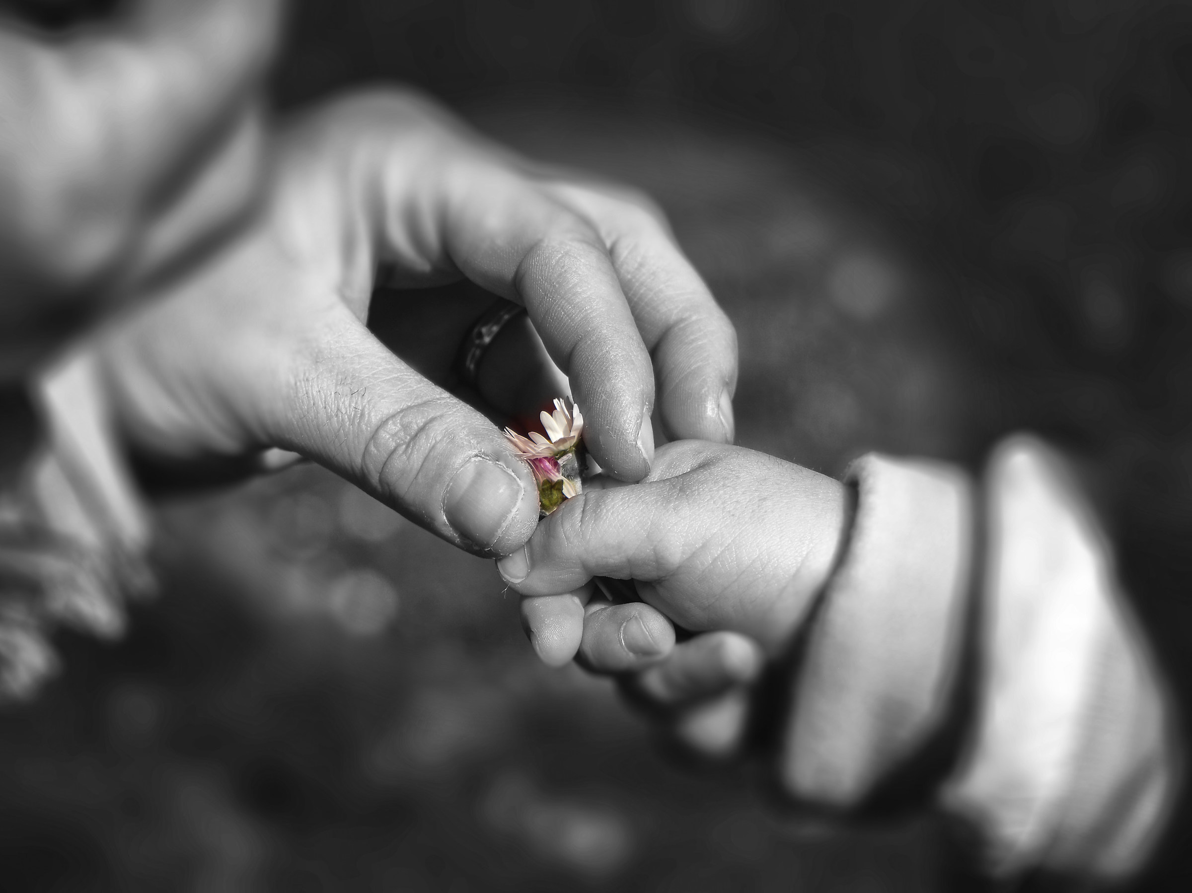 A flower for you ... Mom