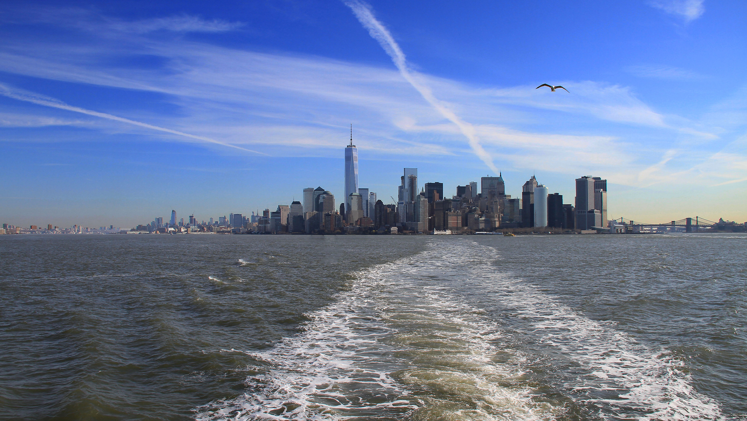 New York, concrete jungle