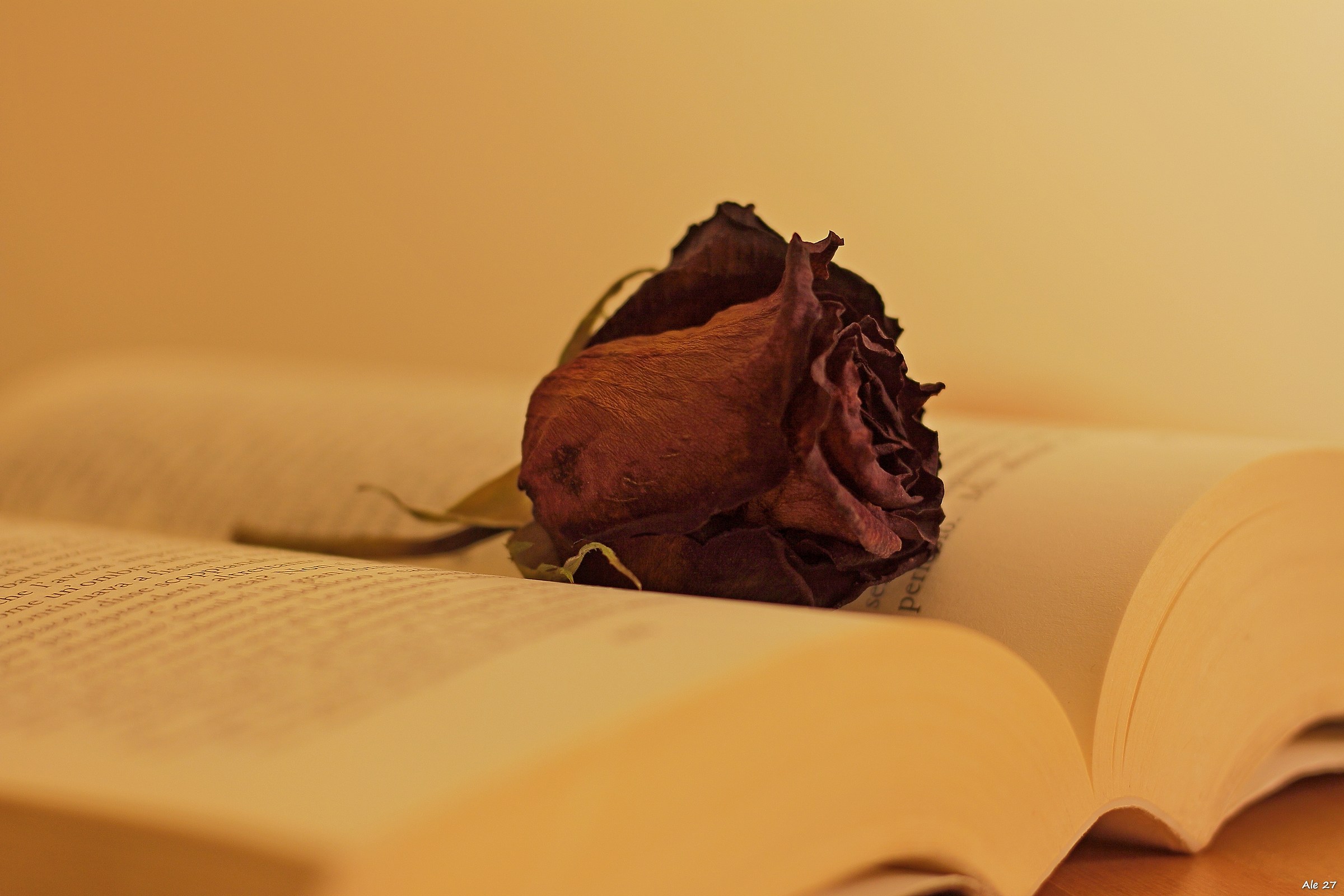 .... le parole che non ti ho detto .....