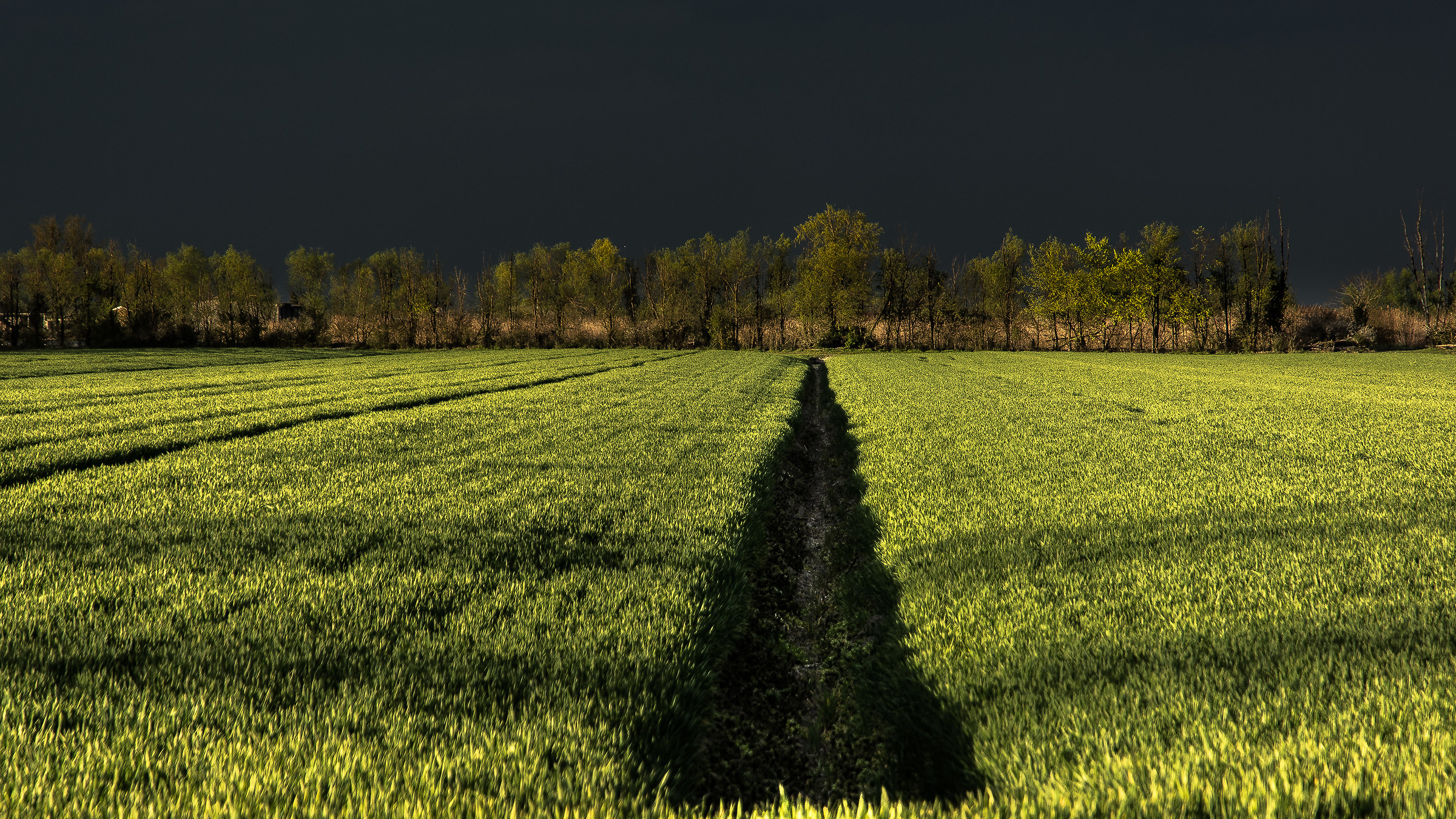 contrasti  di fine giornata marzolina