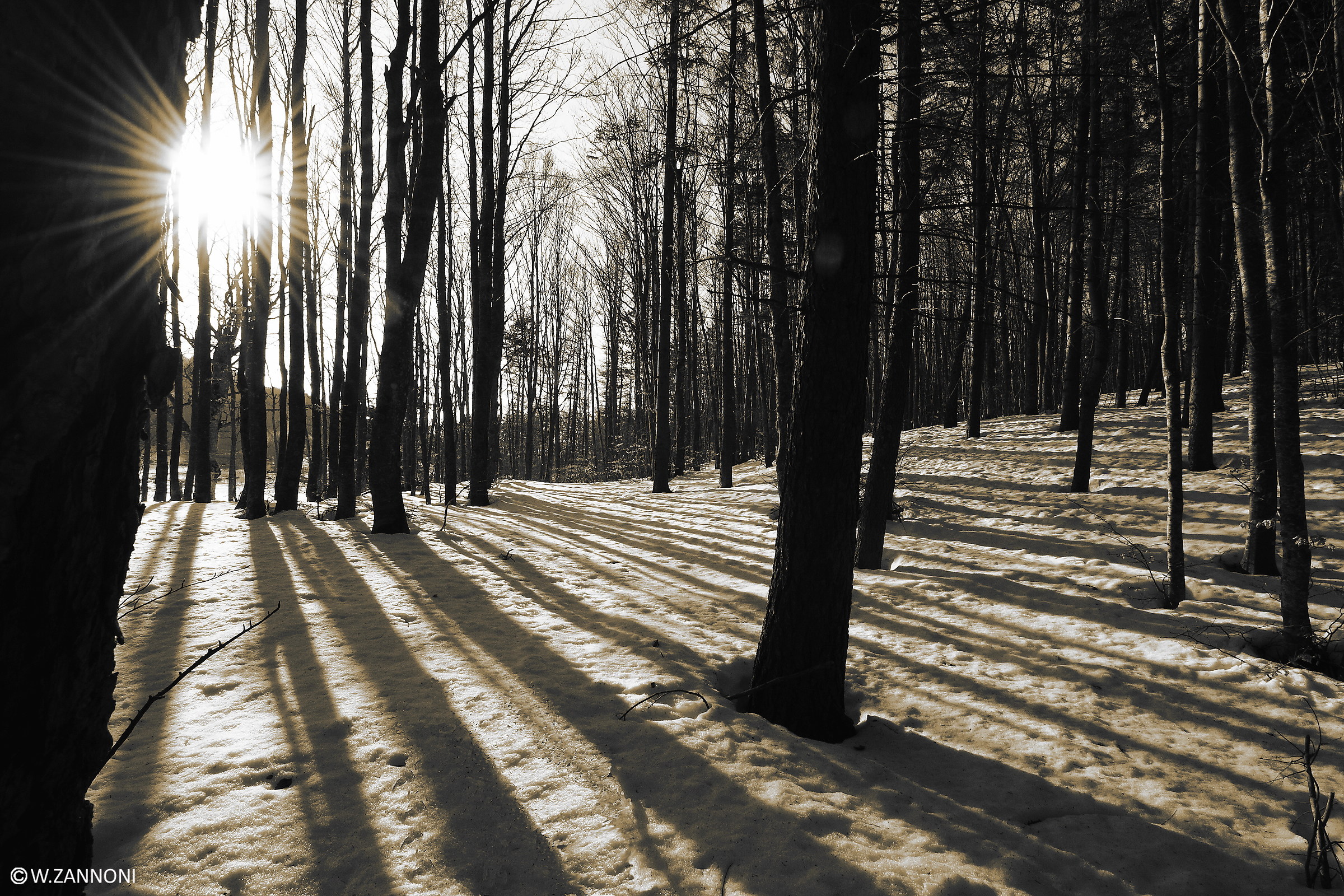 Rays of light and shadow