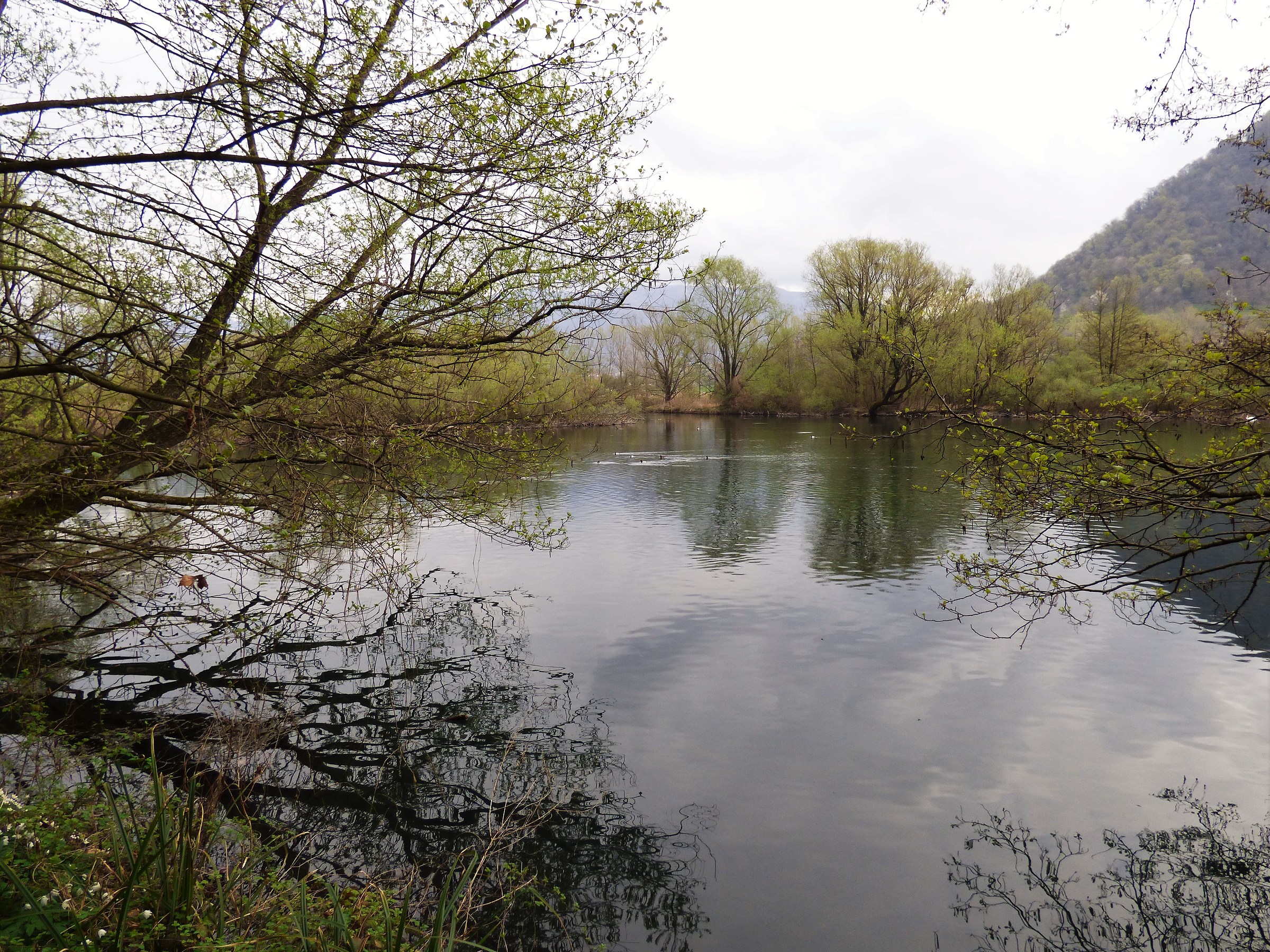 cartolina del fiume adda