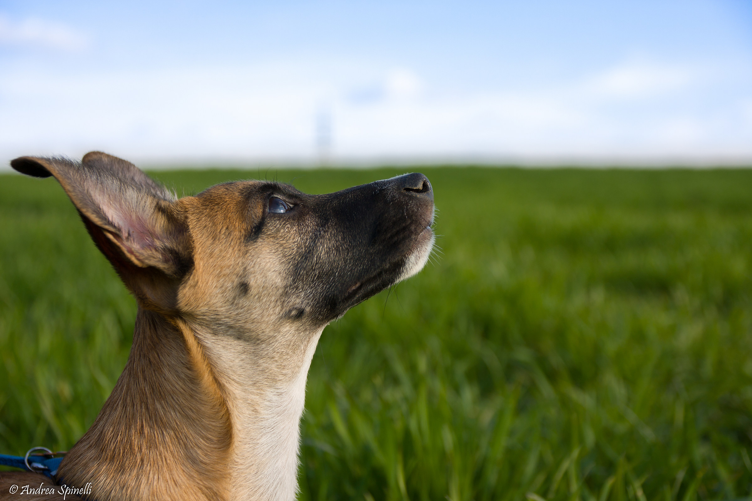 a look between earth and sky