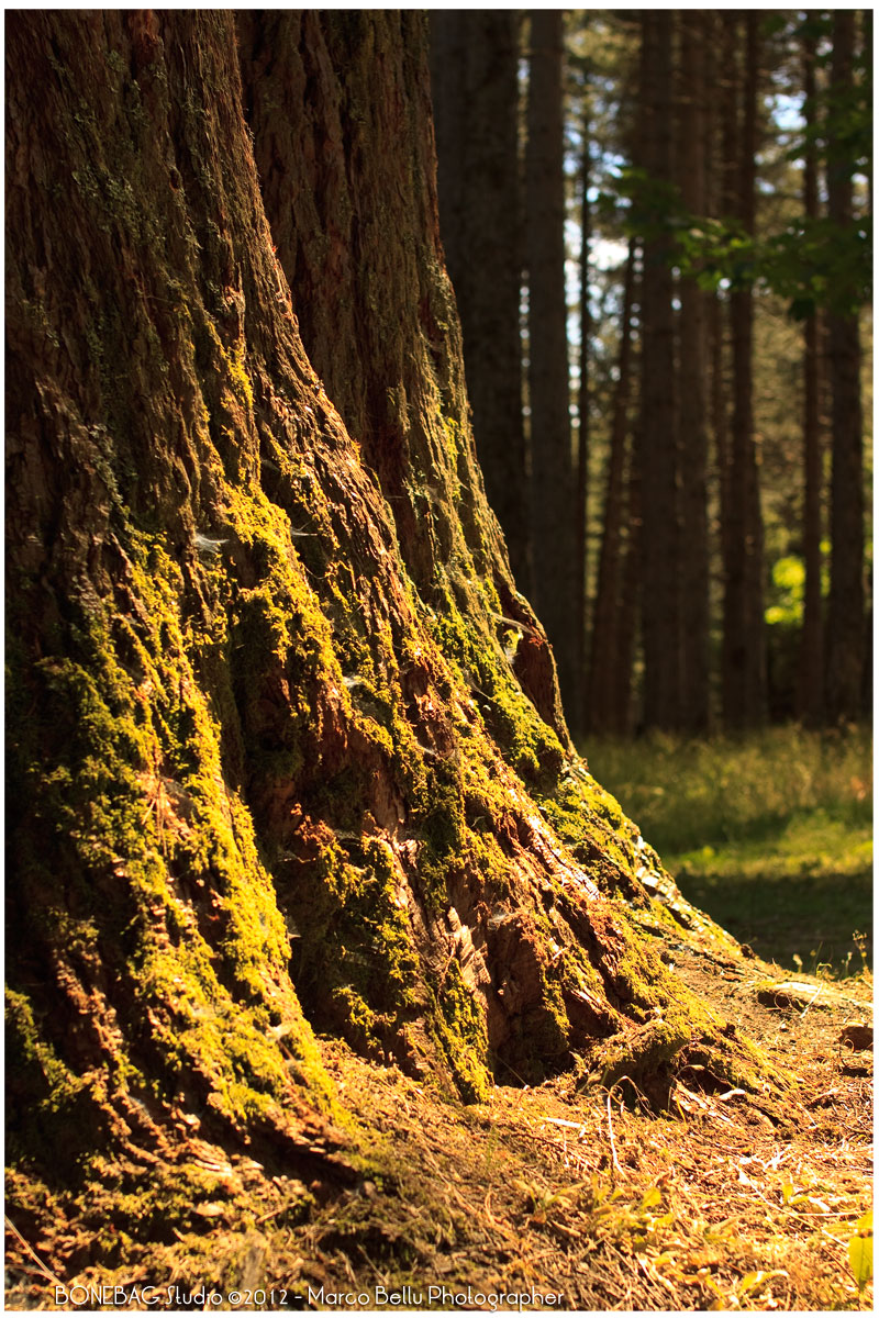 And you what are you doing here?