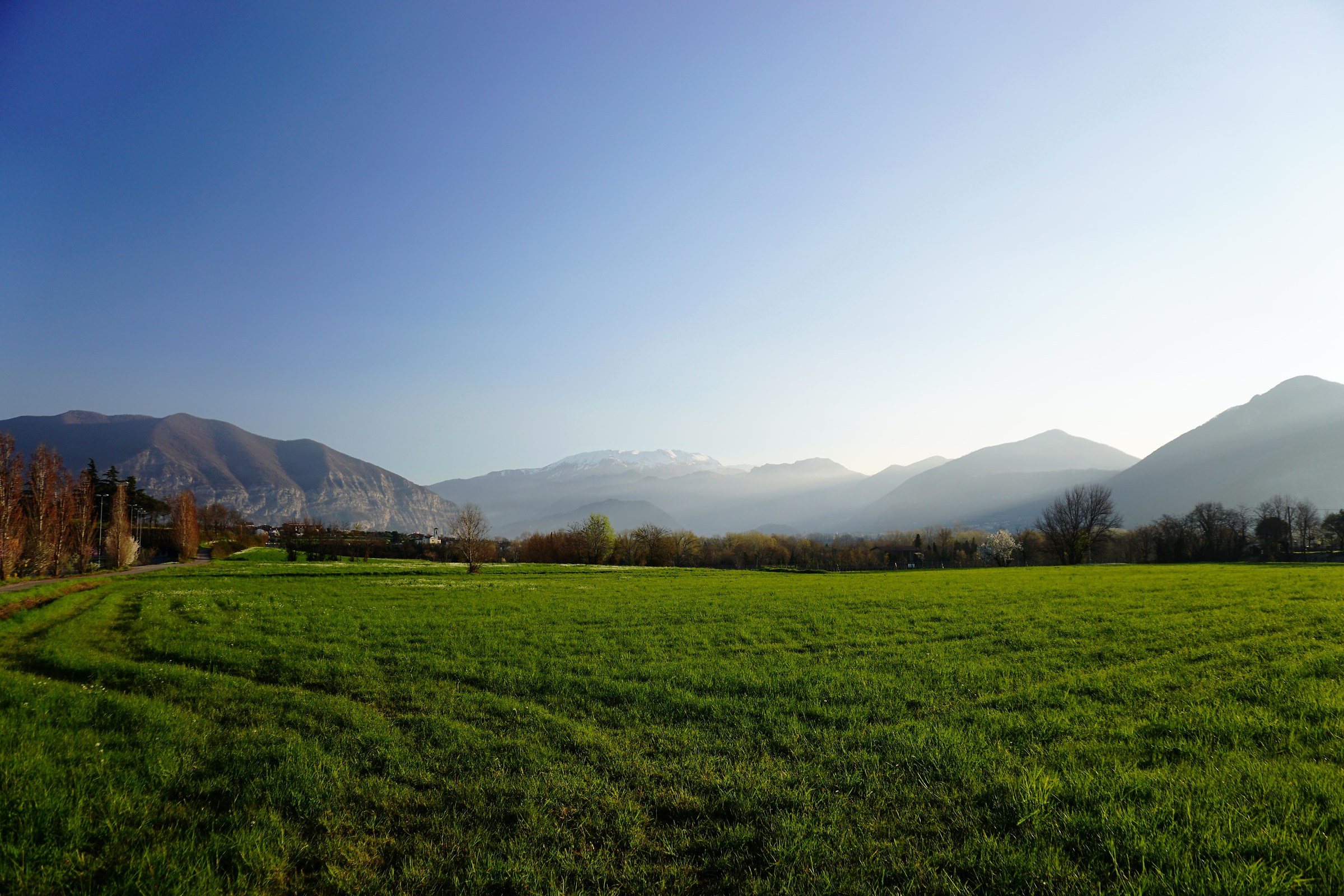 Dawn of the bogs sebino