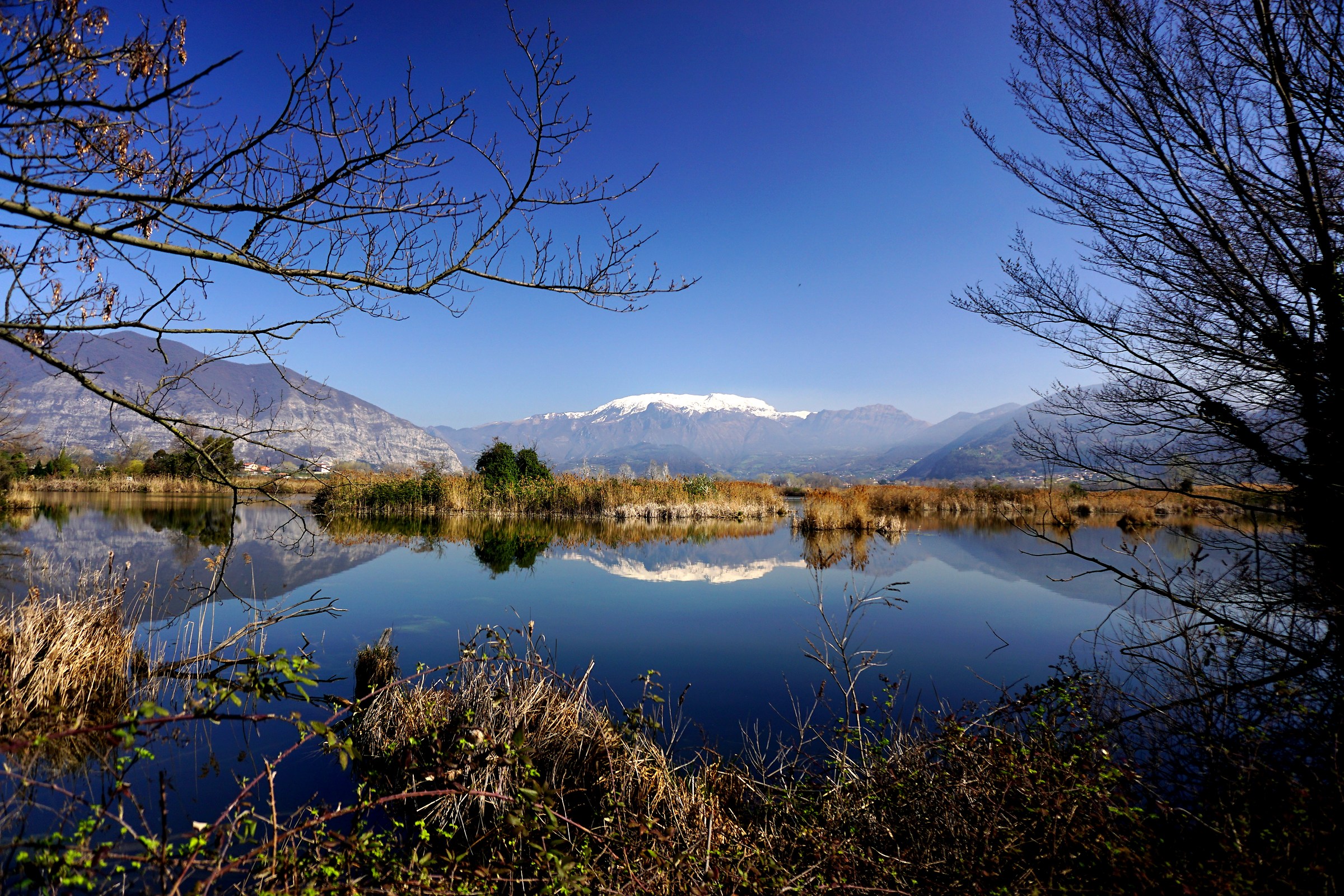 guglielmo the mirror