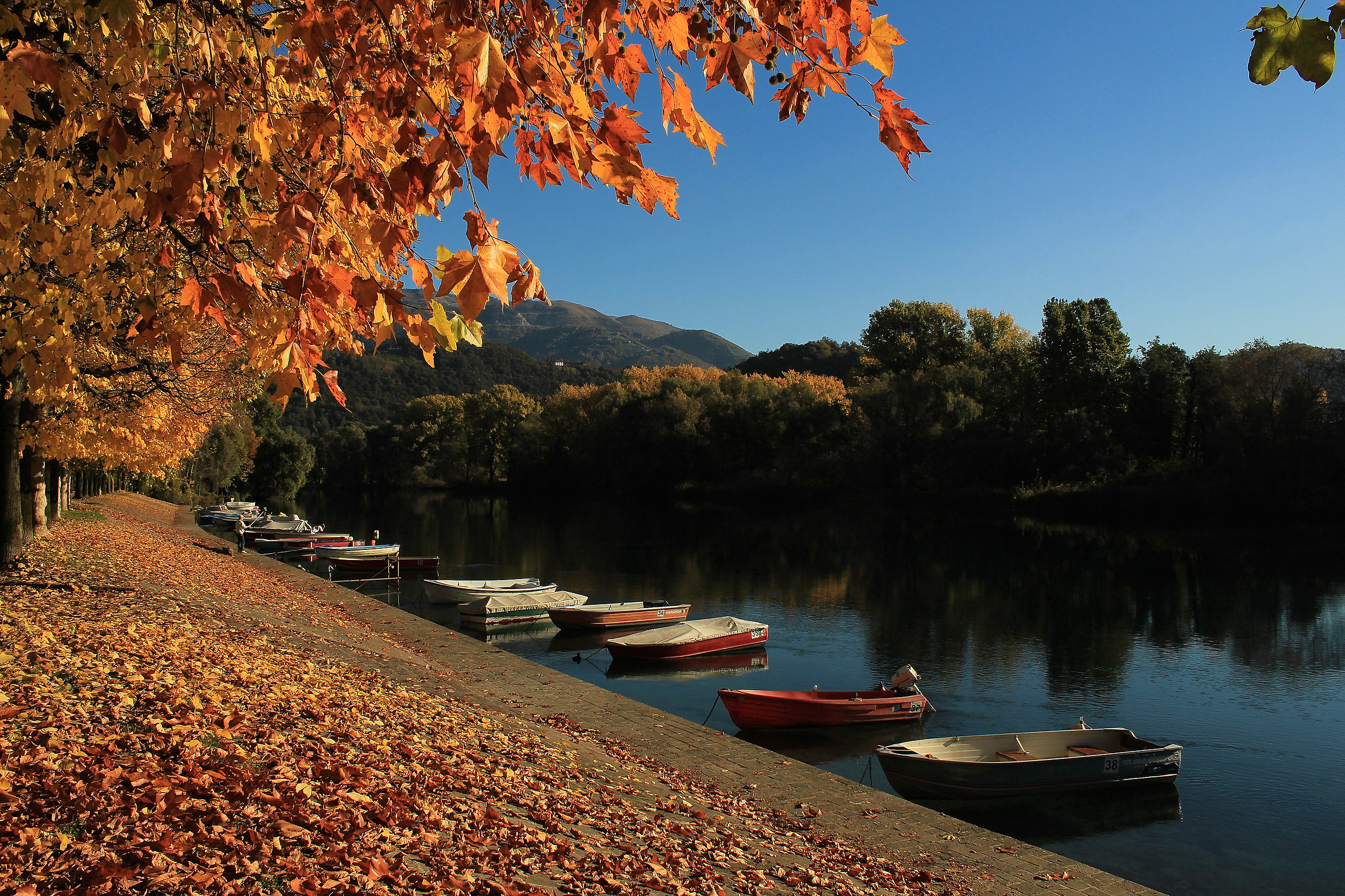 The colors of Brivio