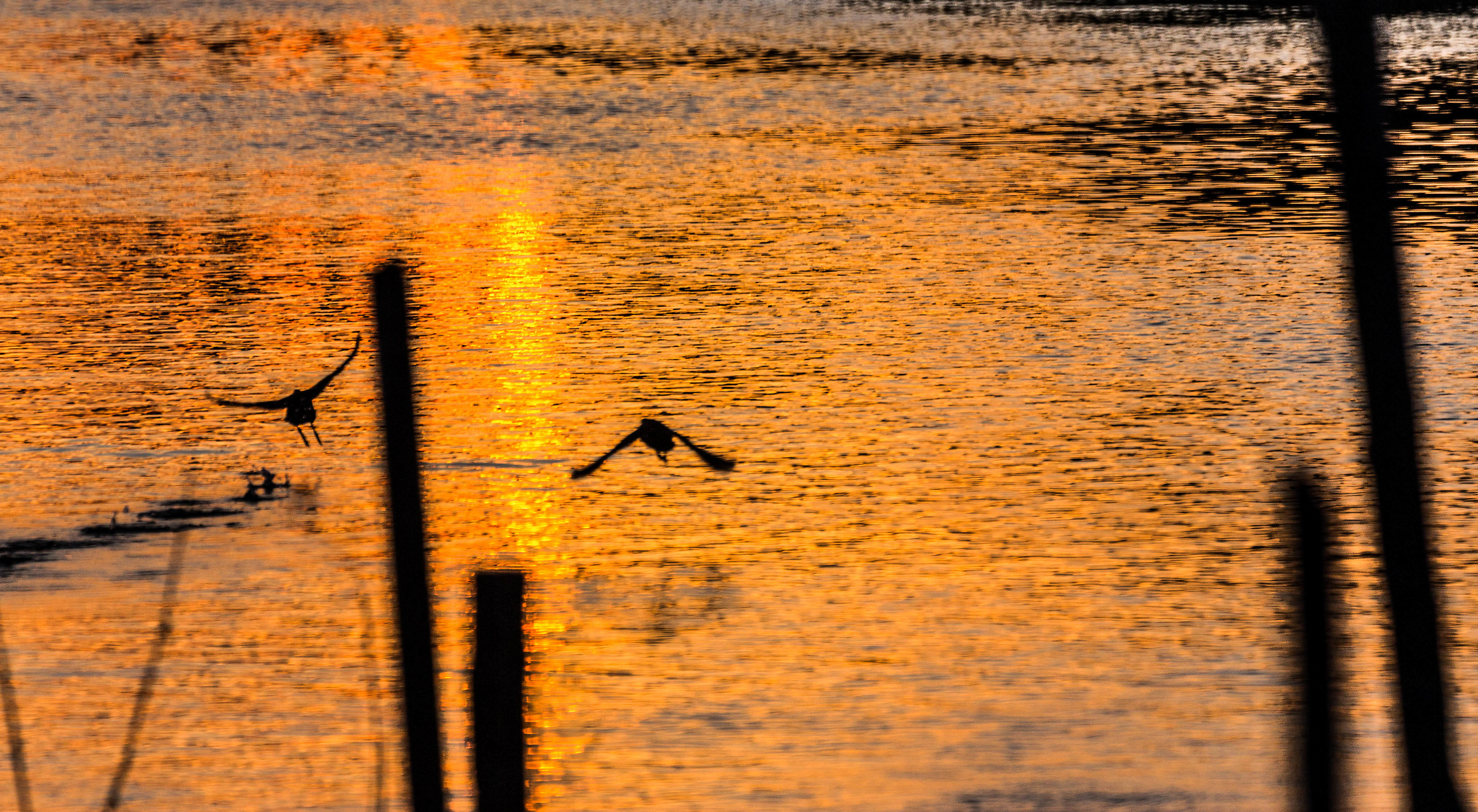 Tramonto dal ponte di barche sul Sile