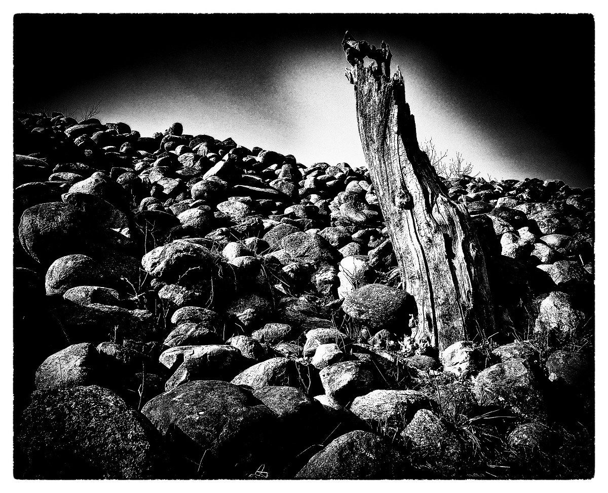 The day after tomorrow