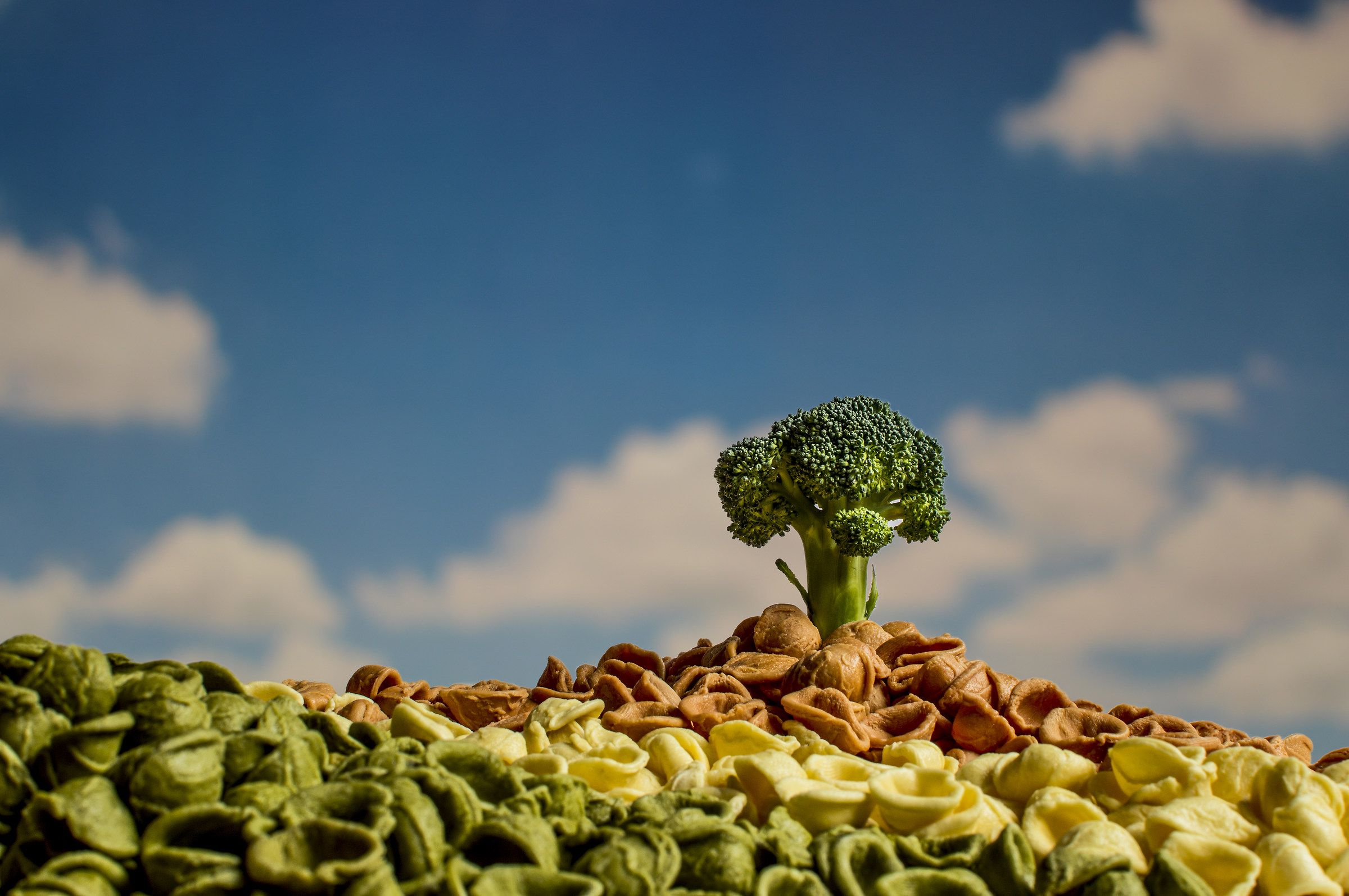 Stacchioddi's land - la terra delle orecchiette