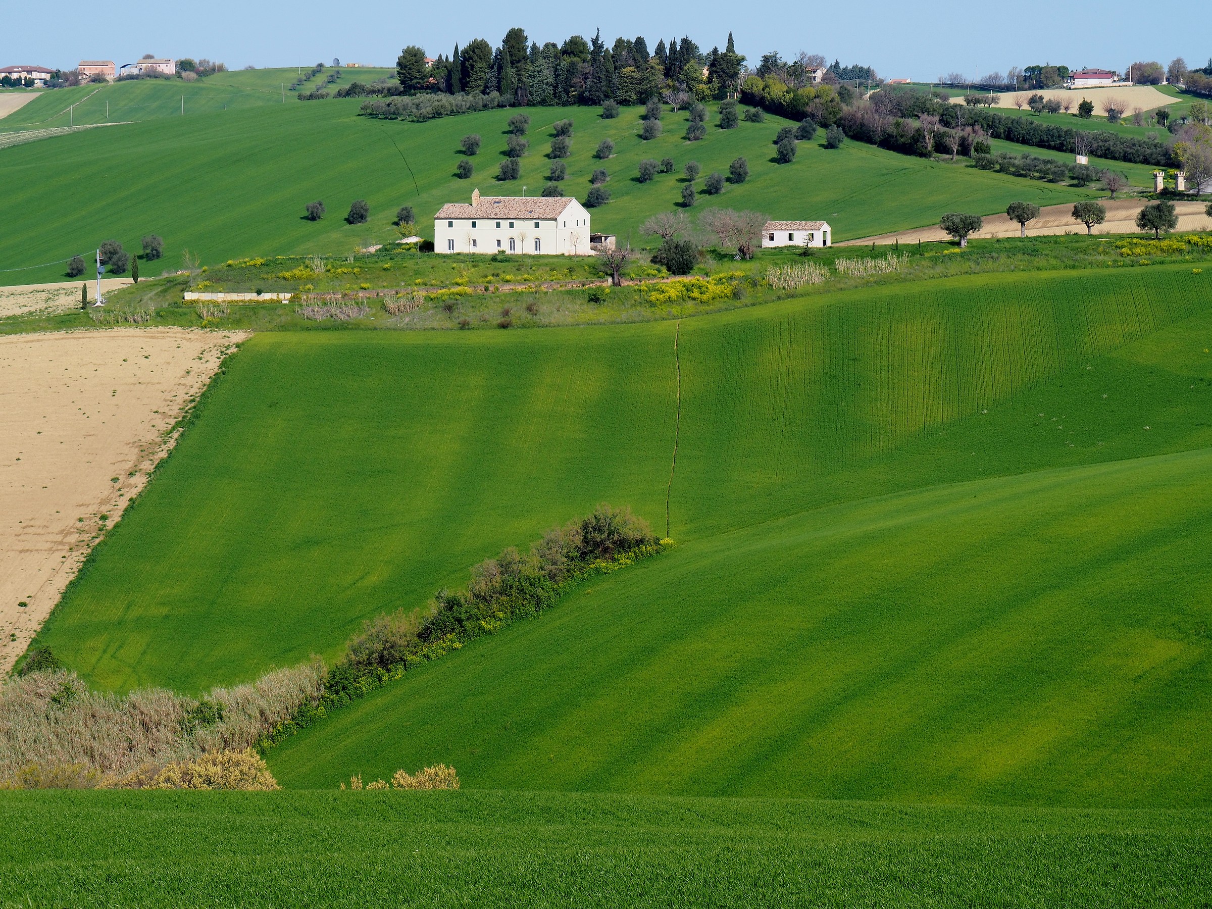 campagne del maceratese 1