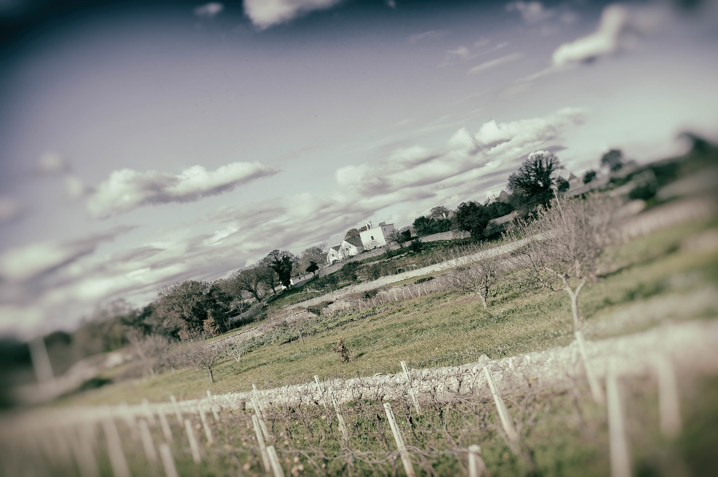 Sognando diagonali in Valle d'Itria