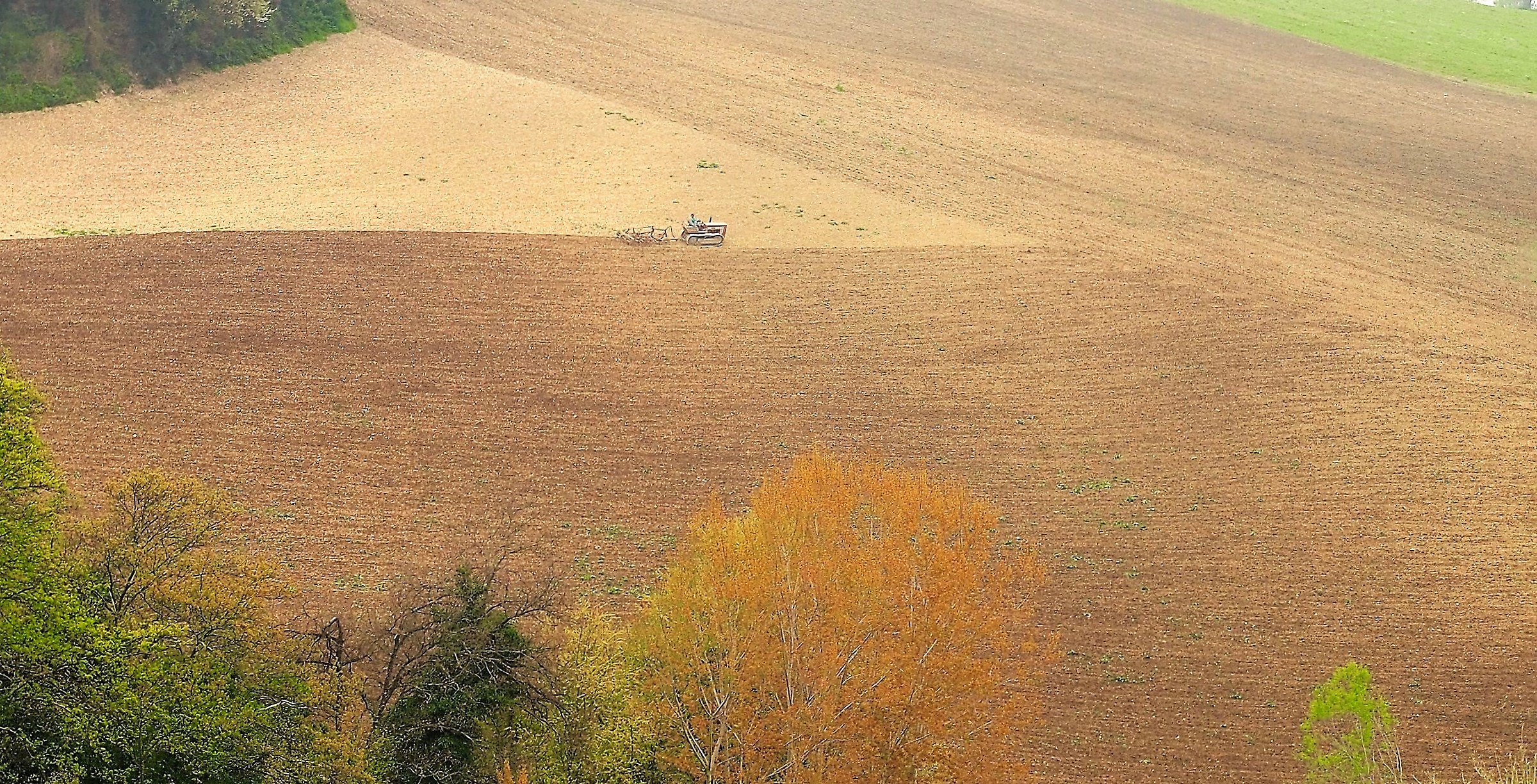 Plowing is ... paint the shades of the earth (fs)