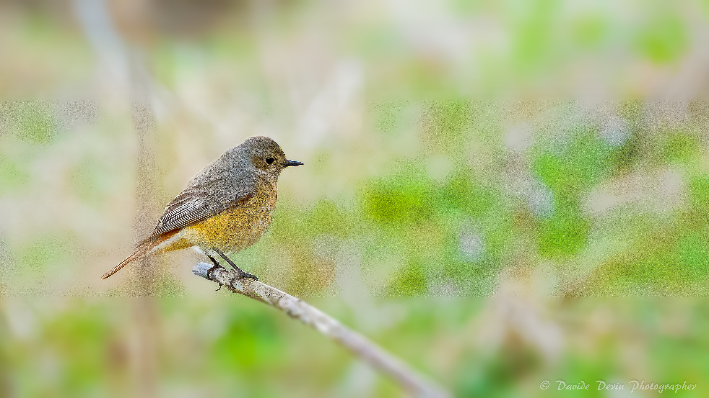 resting the fins ...