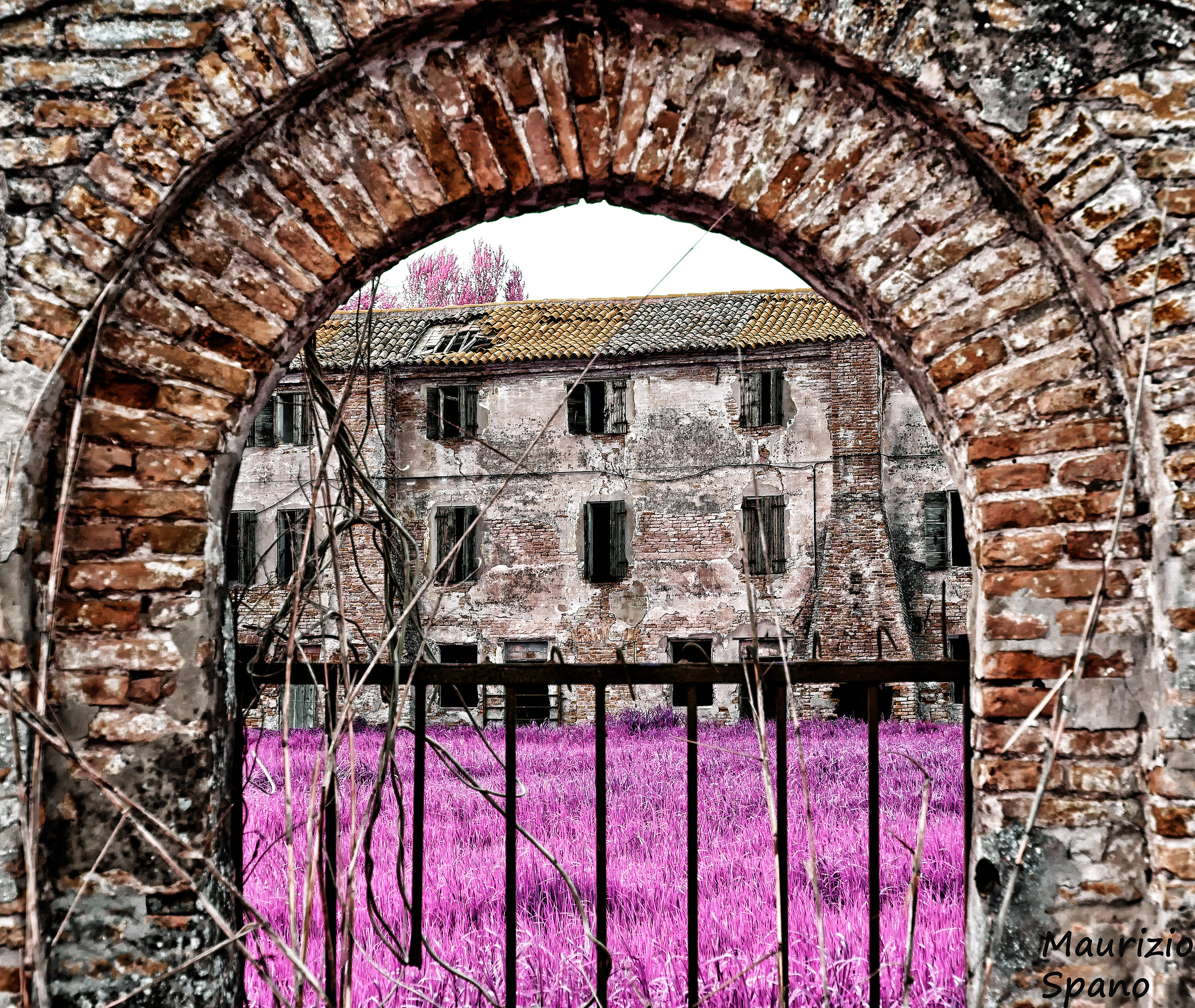 Beyond the gate there is an enchanted garden