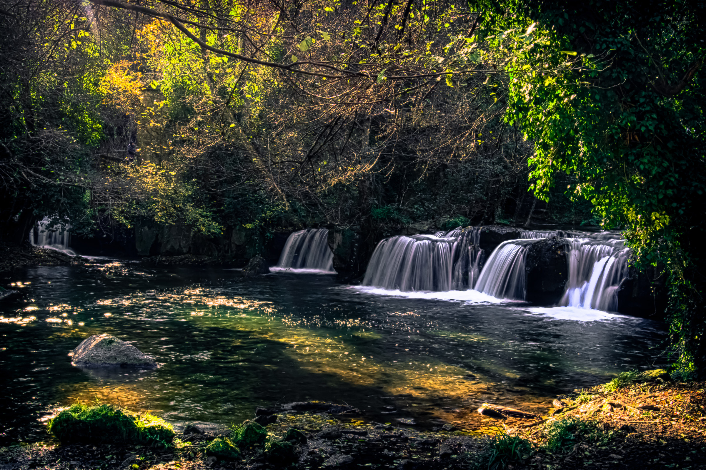 points of light in water