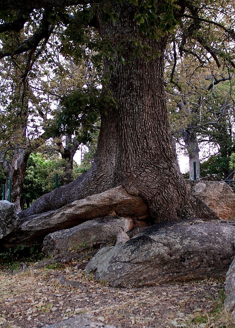 I do not run away more