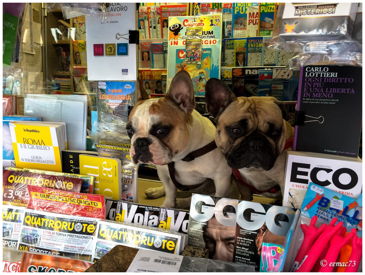 The newsagents ... the newspapers, can request them from the...