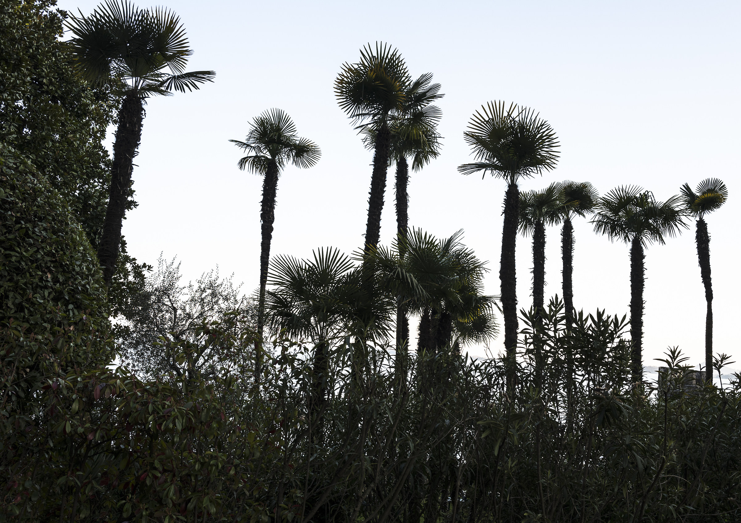 Il giardino sul Lago...
