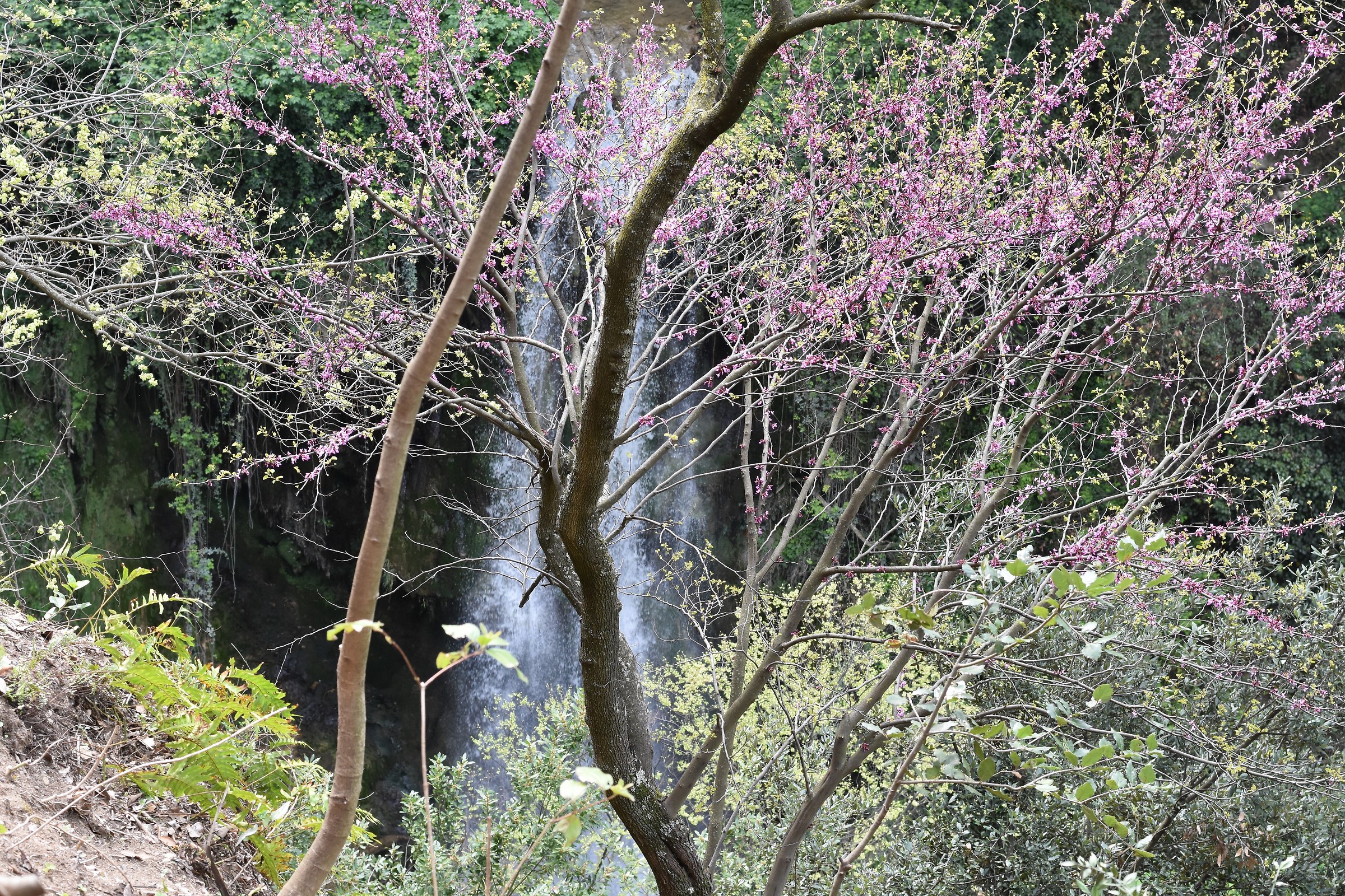 Parco Villa Gregoriana Tivoli