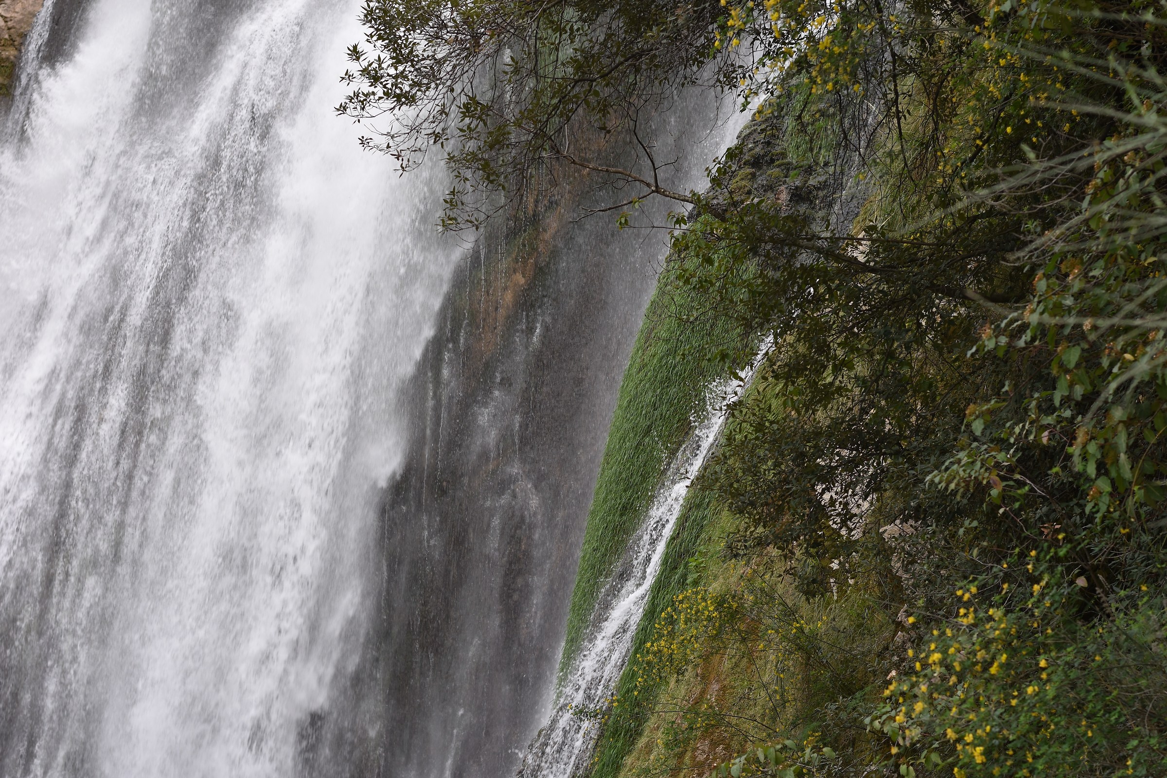 Park Villa Gregoriana