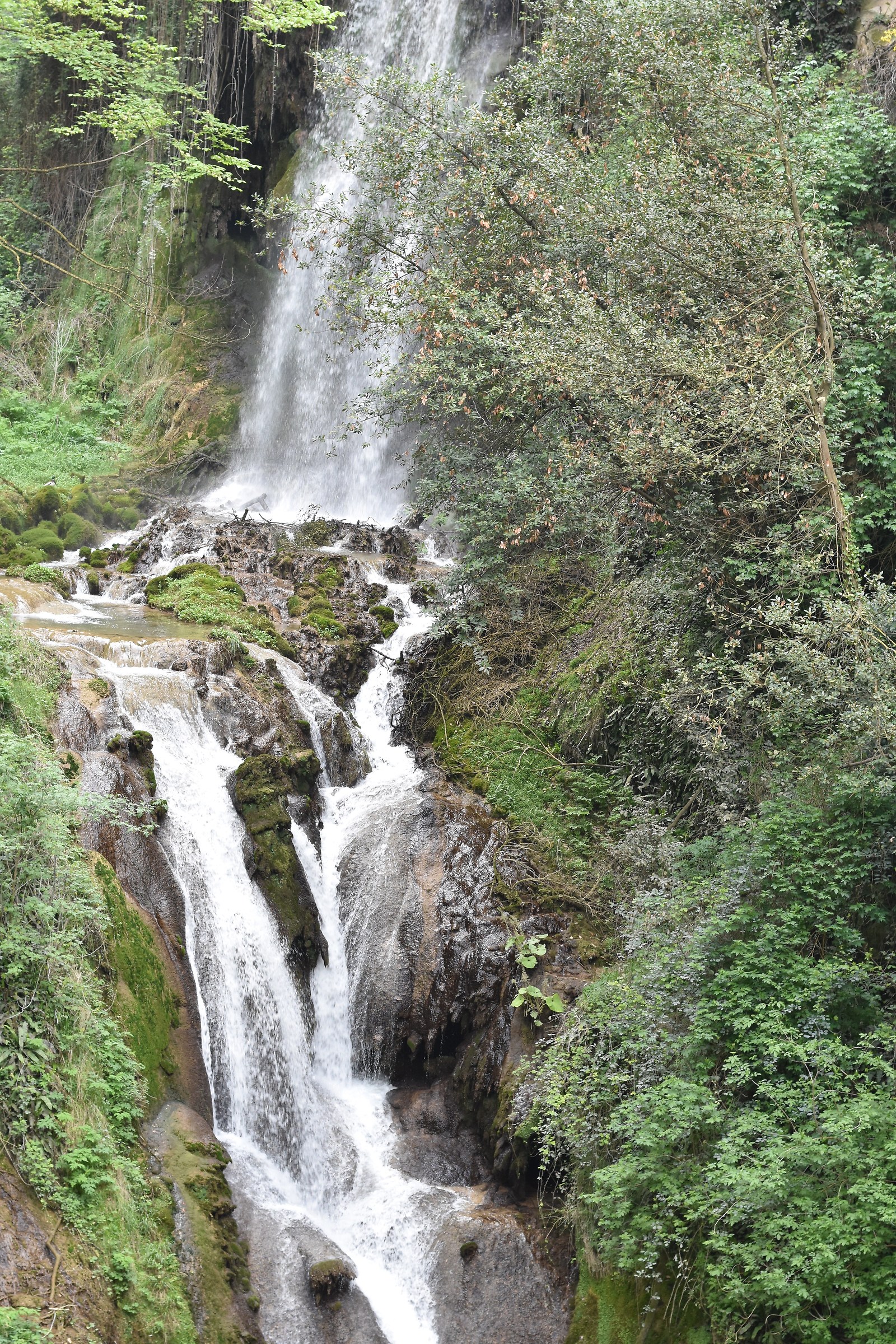 Park Villa Gregoriana