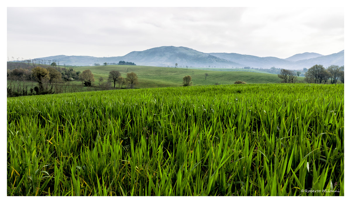 passeggiando tra le vallate