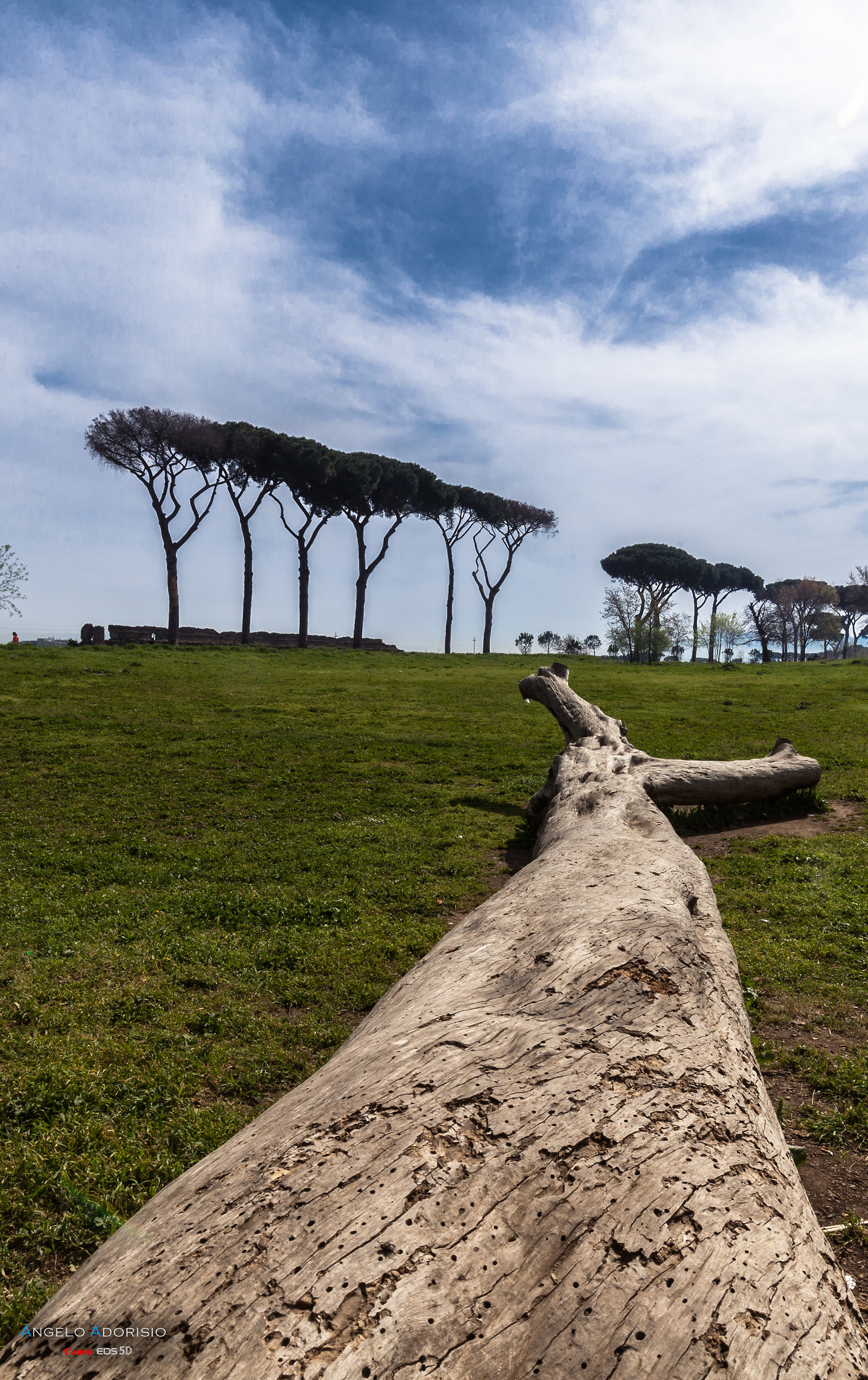 Roma - Parco degli Acquedotti