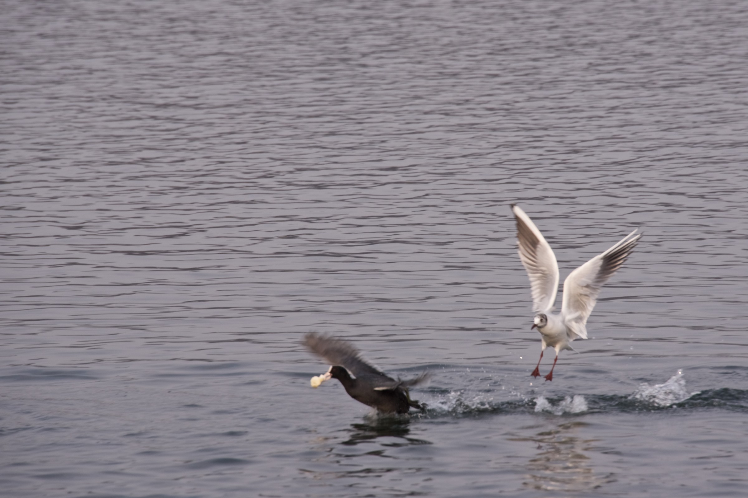 I arrived before I ...