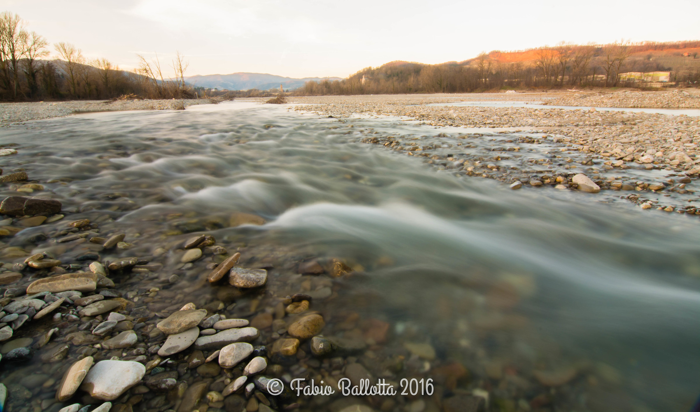 The early bird catches the worm