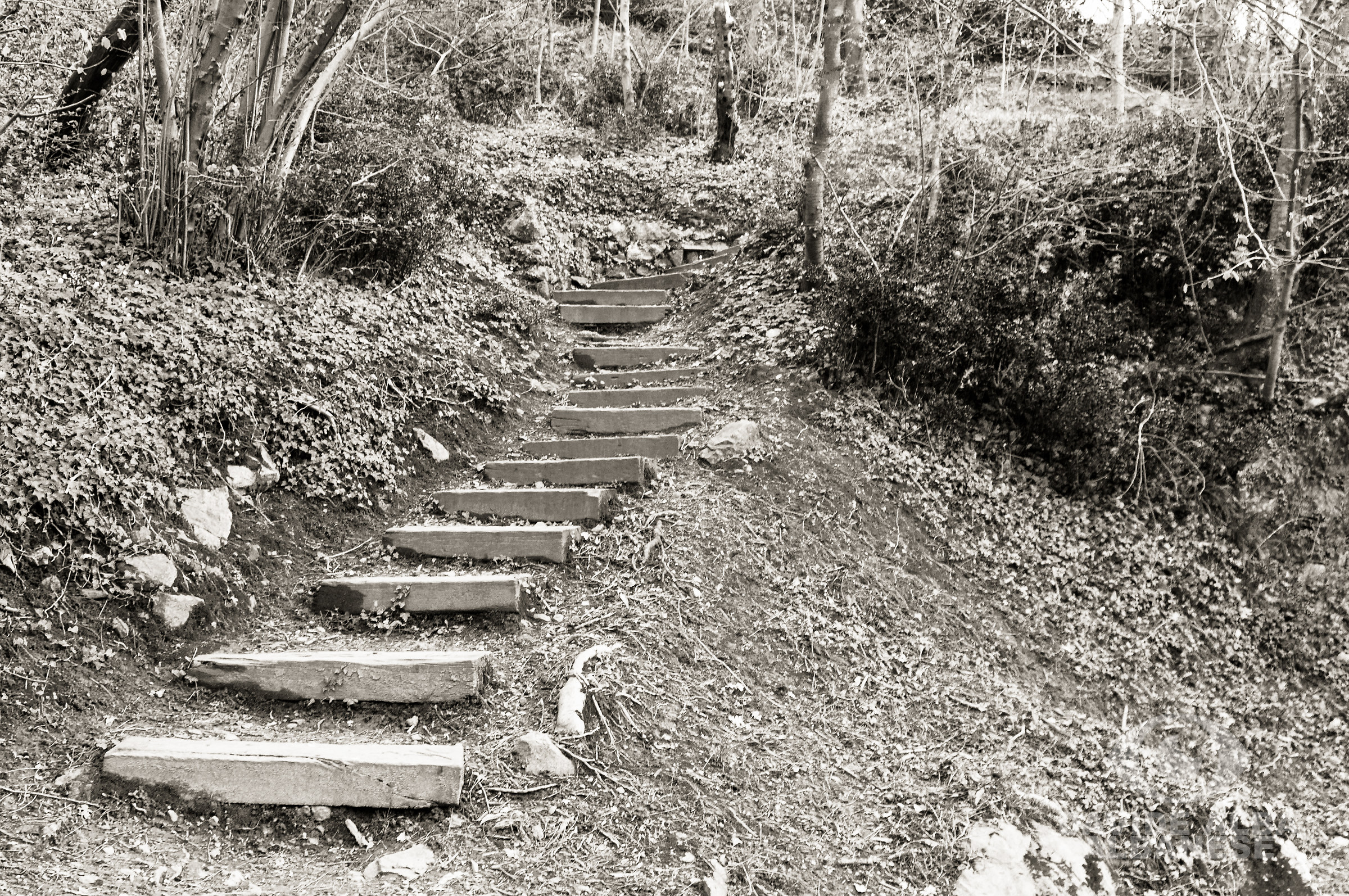 Sentiero per il piano di sopra