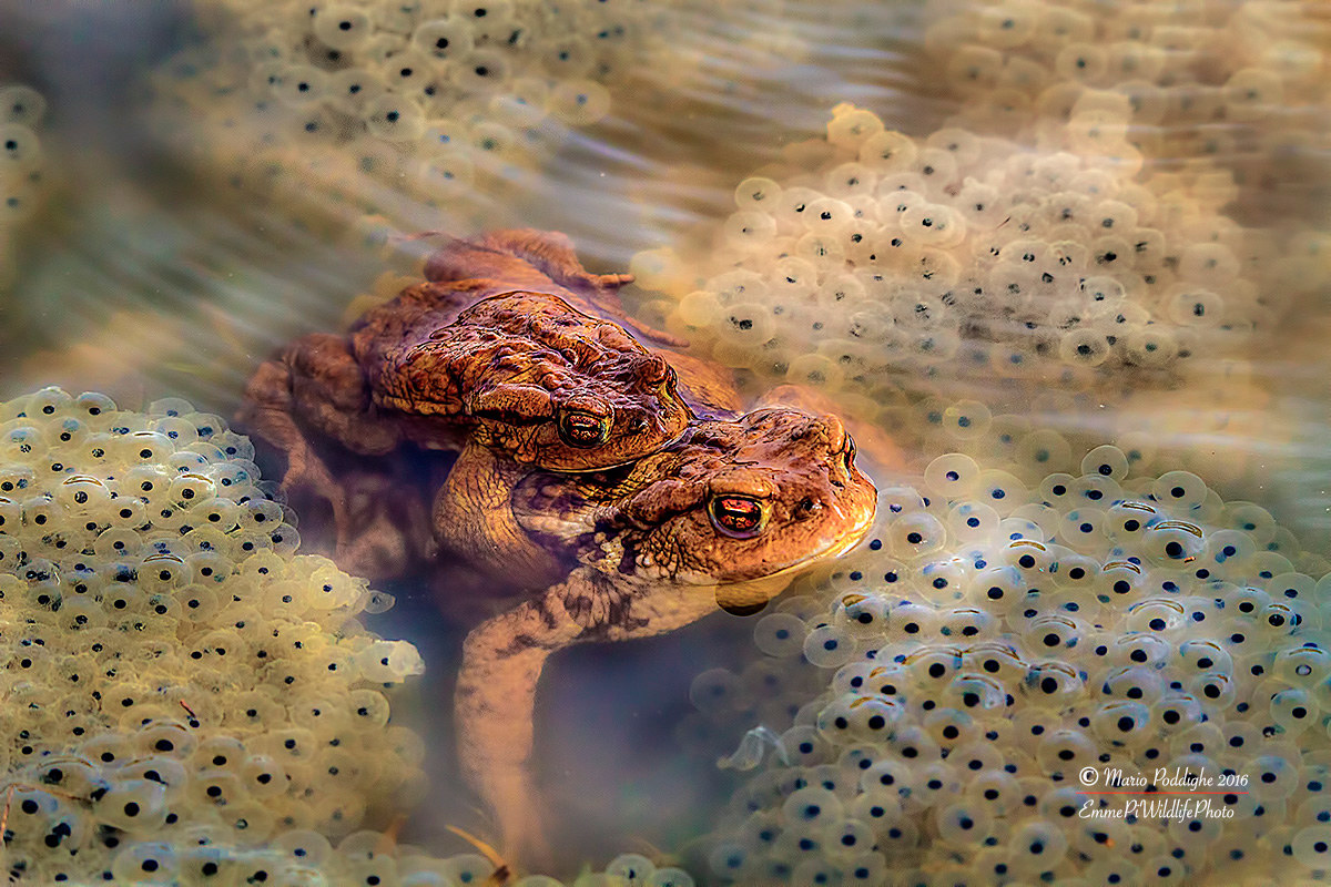 Ecstasy in the clouds