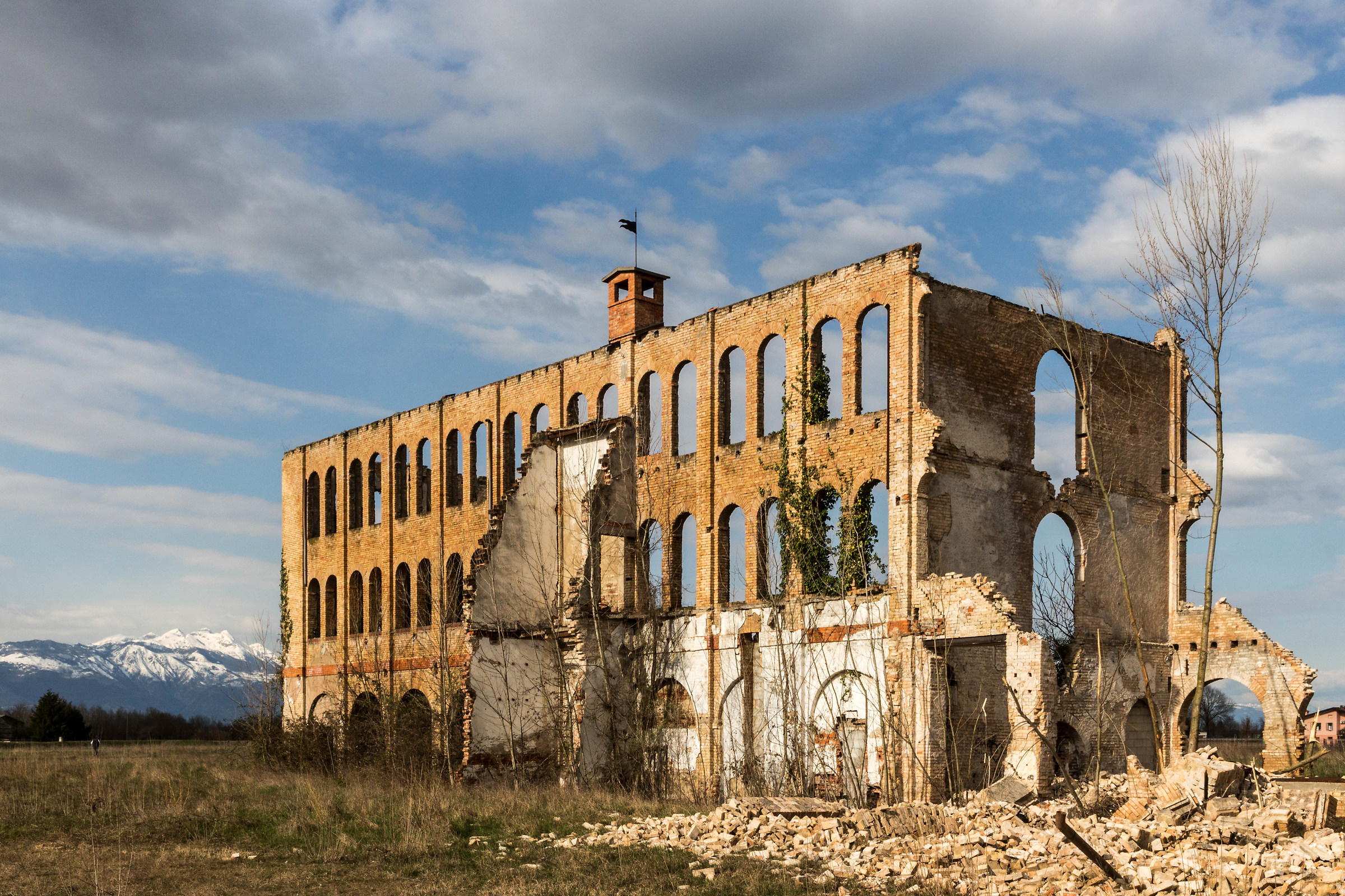 Plant steam pottery 1